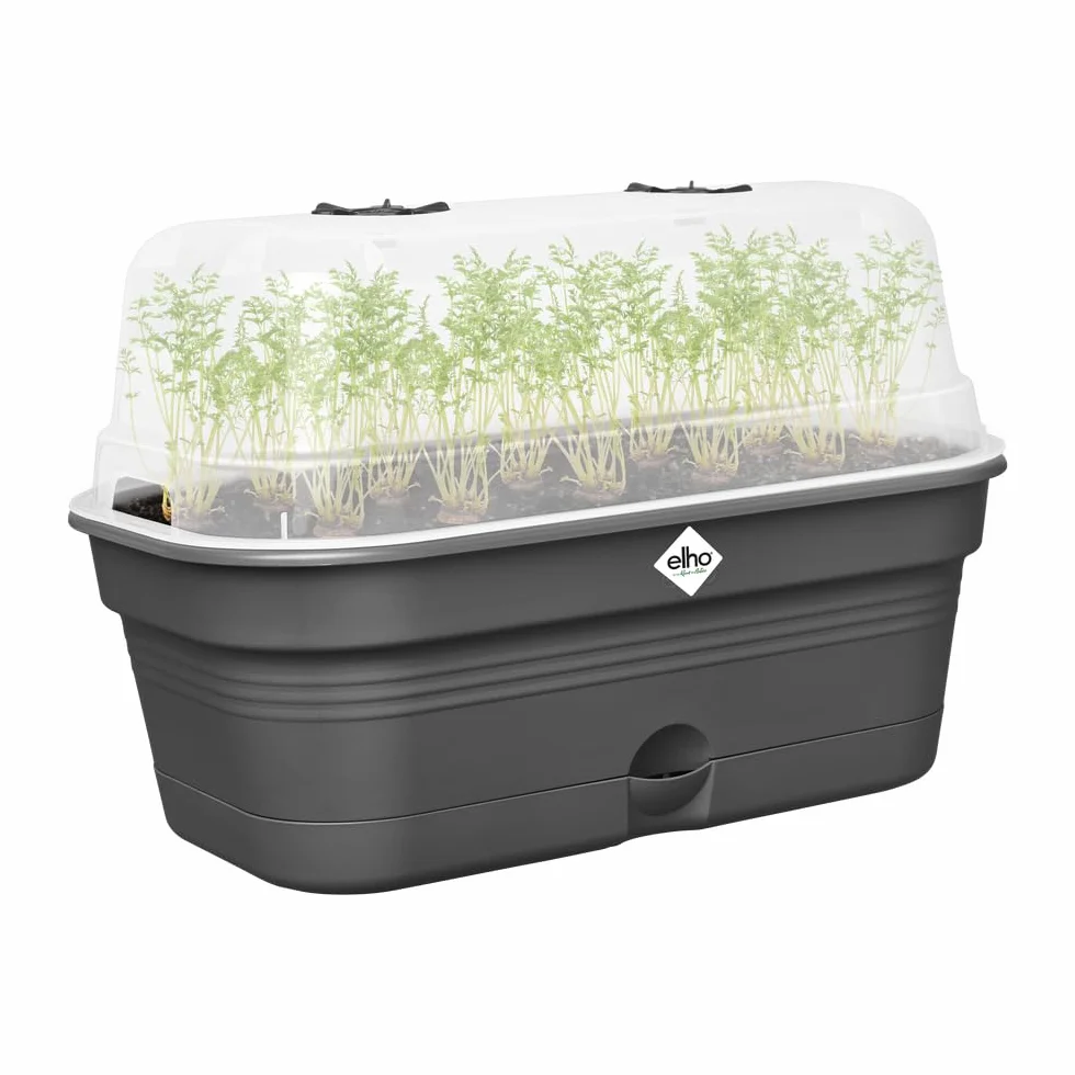 elho Green Basics Allin1 32 miska do uprawy roślin - zestaw do uprawy - 100% plastik z recyklingu - Ø 32,0 x wys. 13,2 cm - czarna/Living Black
