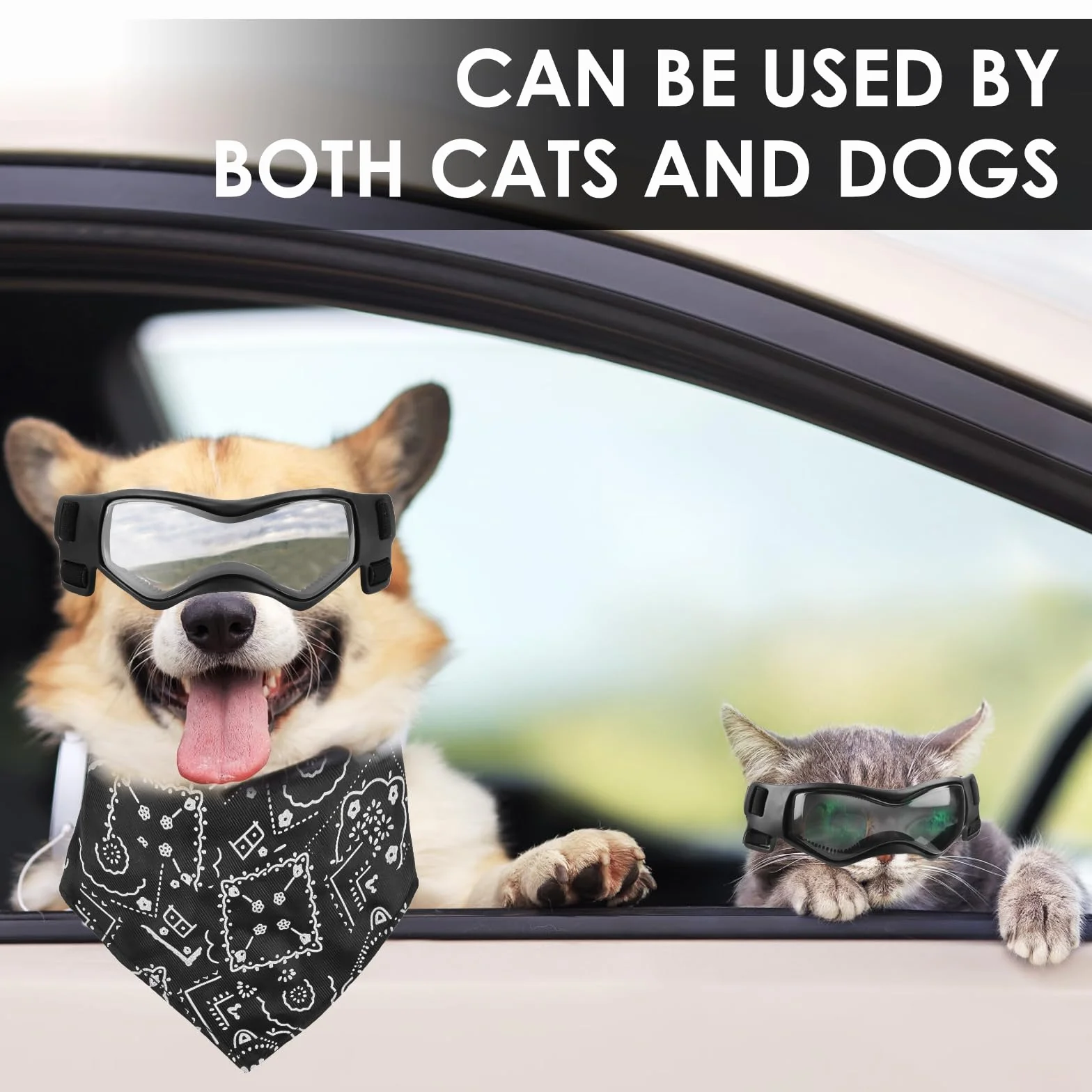 Wodoszczelne okulary ochronne dla małych psów UV regulowane motocyklowe