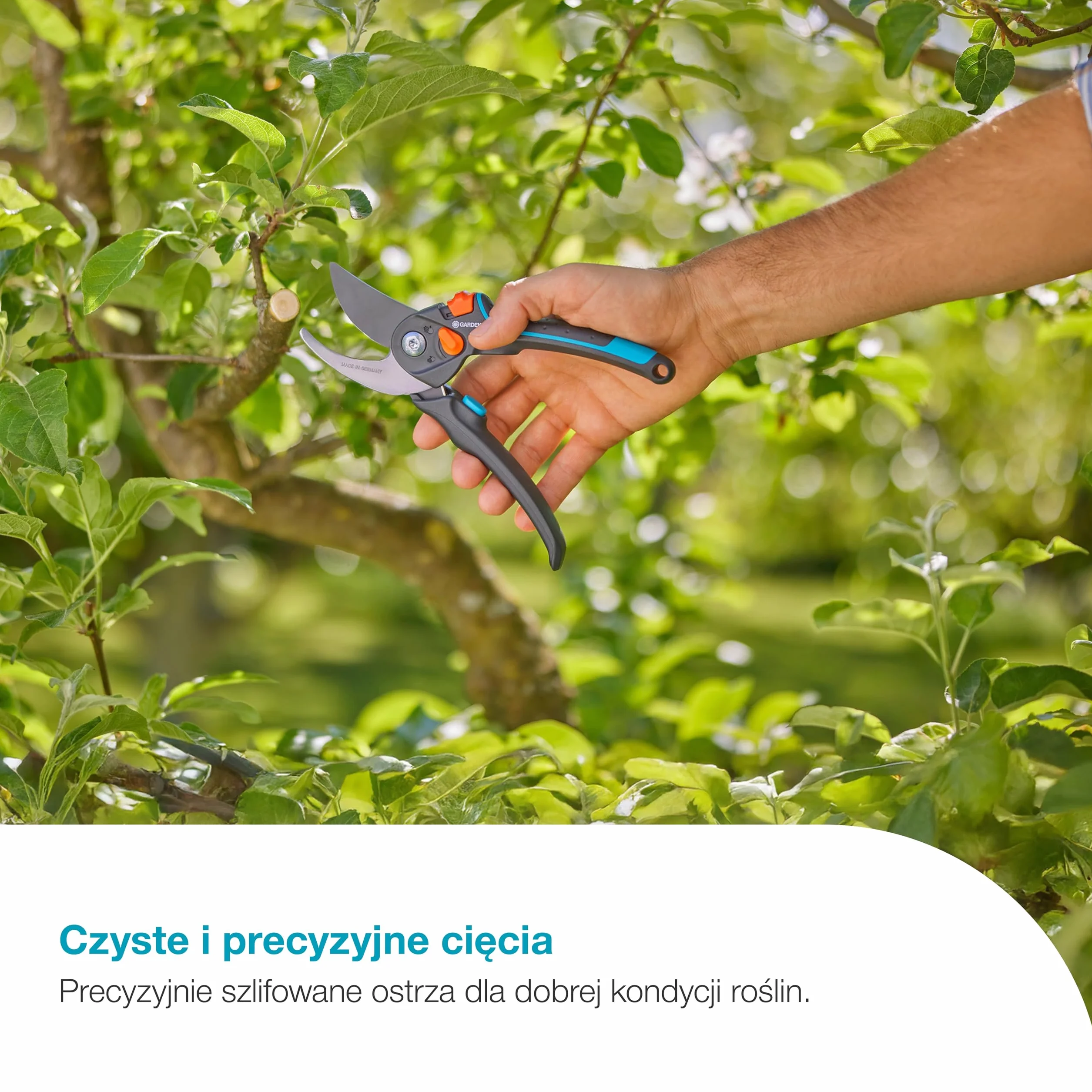 Gardena Nożyce ogrodowe PremiumCut Pro Flex, cięcie obejściowe, do świeżego drewna, średnica cięcia 24 mm, ergonomiczne uchwyty, ostrza PowerCoating, wyprodukowano w Niemczech (12252-20)