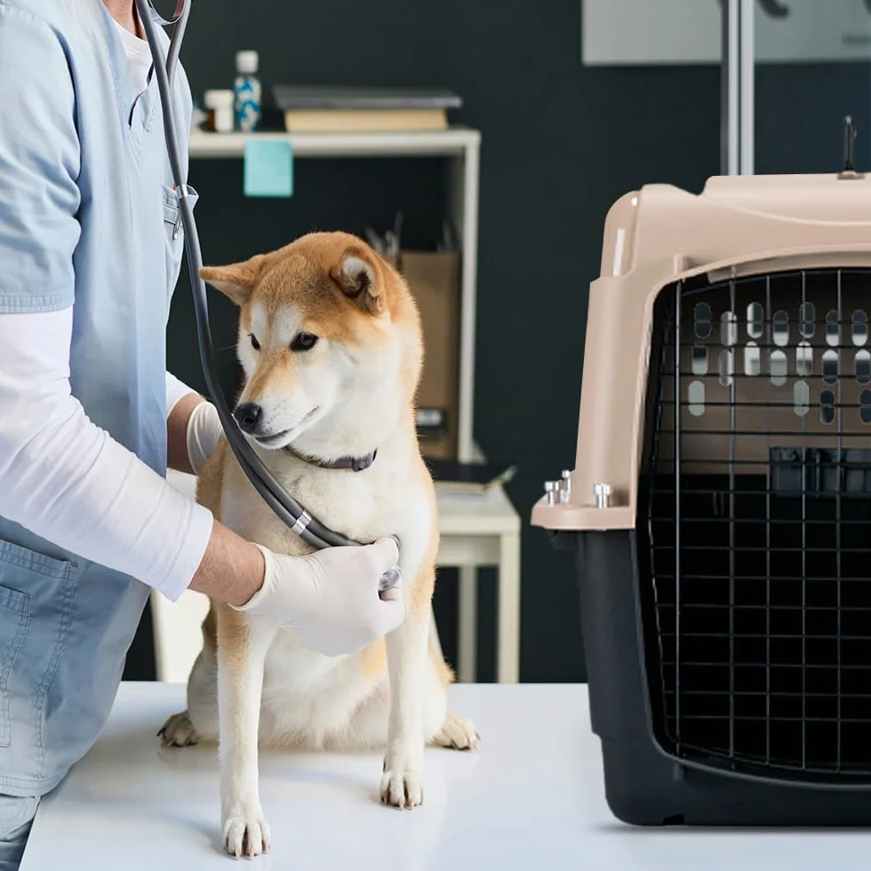 Petmate Vari Kennel Ultra 28 71x52x55 cm L Transportín