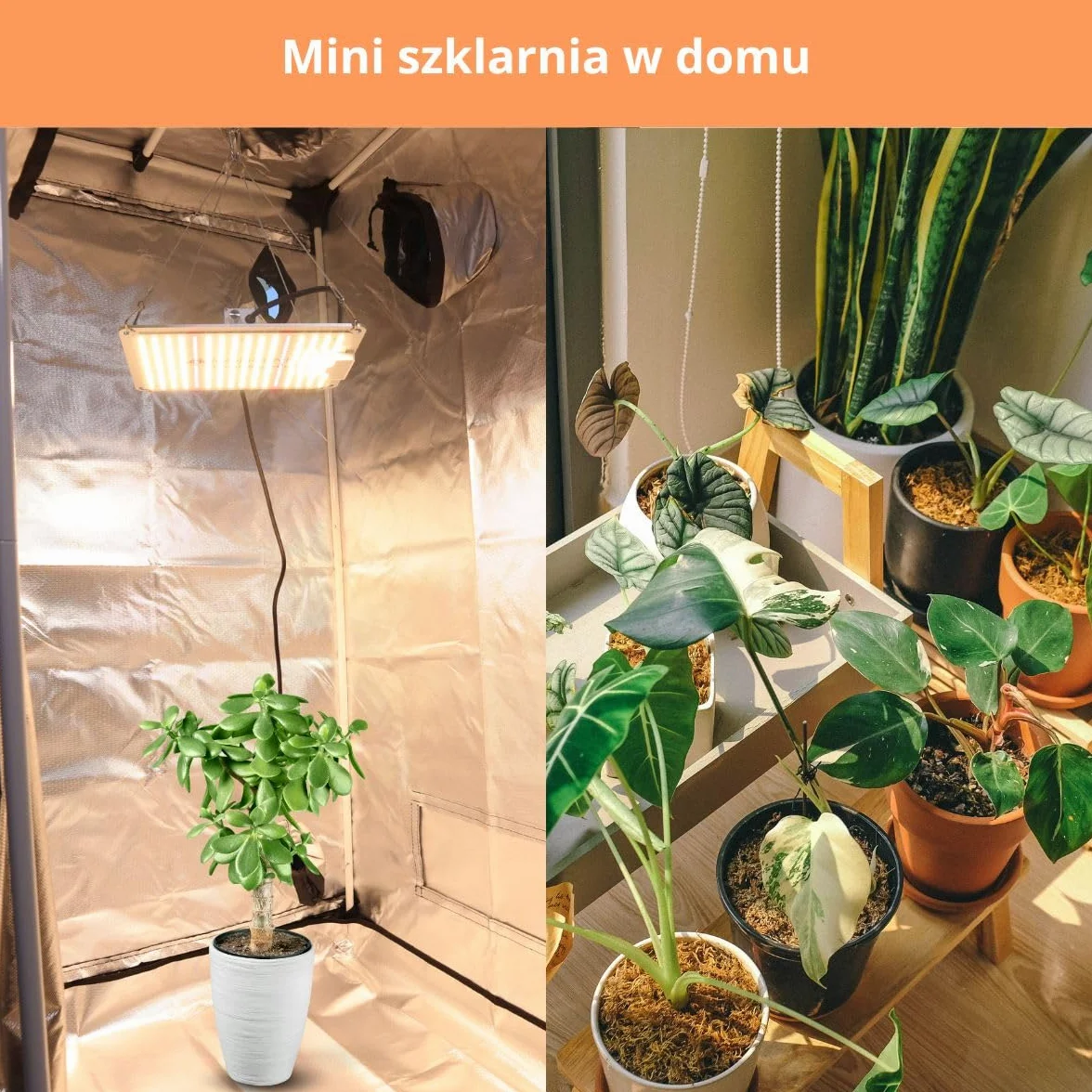 Mobiclinic®, Namiot do uprawy wewnętrznej, 240x120x200cm, Growbox, Premium mylar 97% odblaskowy, Hydroponiczny, Wodoodporny, Zdejmowane dno, Gruba, Tkanina nylonowa, Solidna konstrukcja, Grow tent