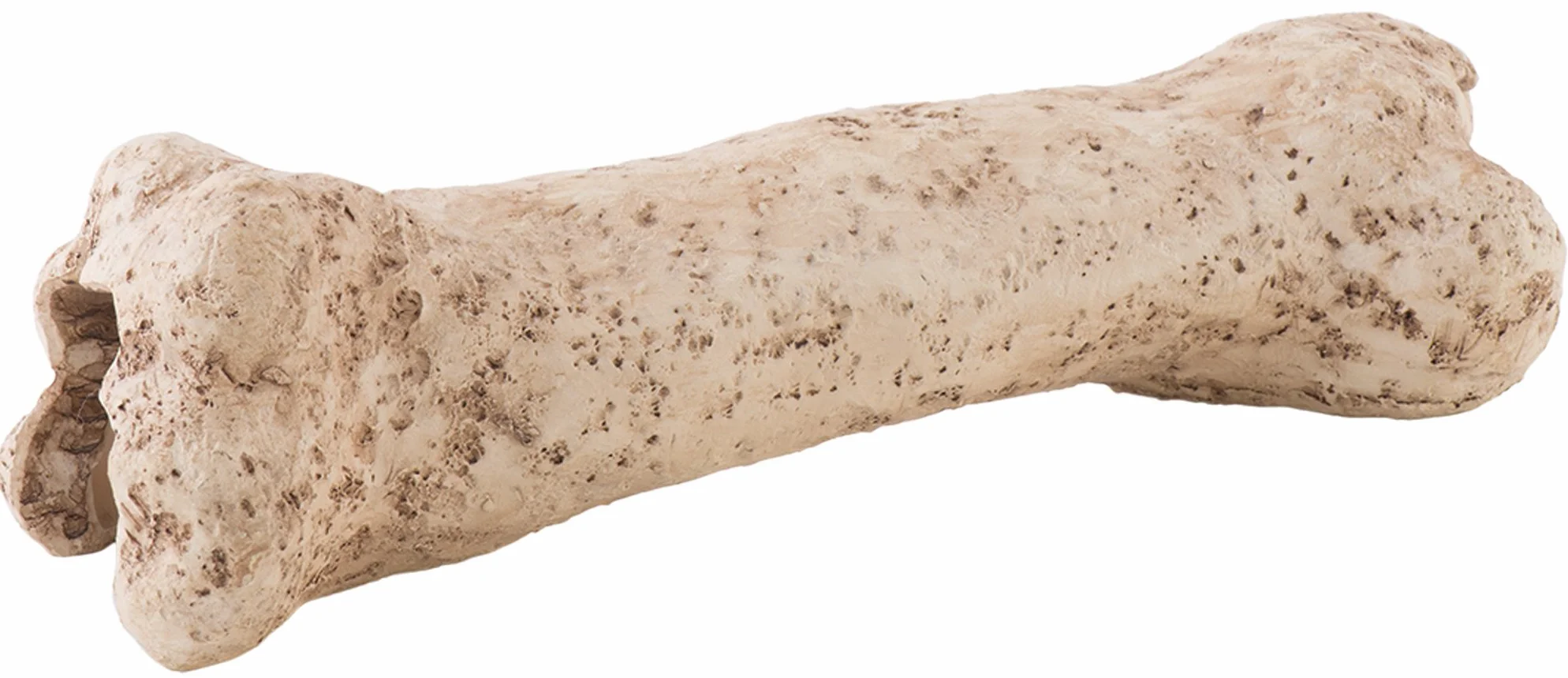 Exo Terra Kość Dinozaura, Brązowy, 20 cm