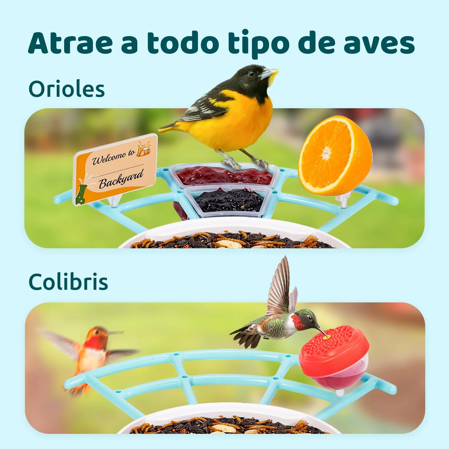 NETVUE Birdfy Pro Lite Vogelhaus z kamerą, stacja Vogelfutterstation z kamerą i DIY wielofunkcyjny stojak, stacja futterstationen for Wildvögel, Vogelfutterspender mit Meisenknödelhalter, Wasser/Gelee