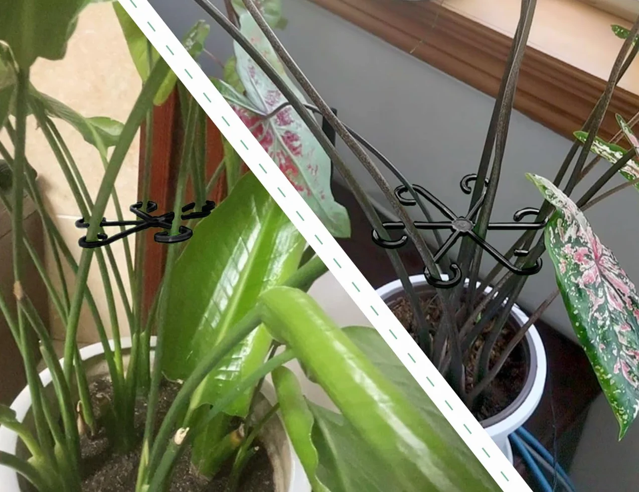 16 podpórek do roślin, uchwyt na byliny, plastikowe podpórki do roślin w 4 rozmiarach, wielokrotnego użytku, do monstery, kwiatów (czarne)