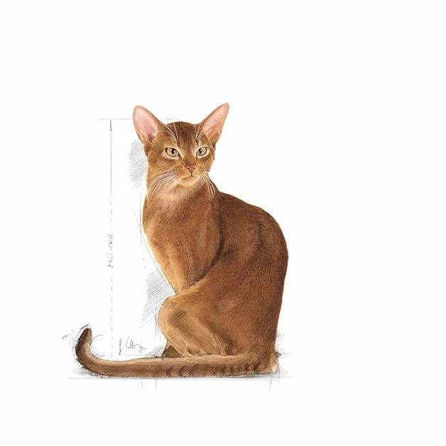 ROYAL CANIN Savour Exigent dwupak 2 x 400 g karma dla wybrednych kotów 12. miesiąc życia