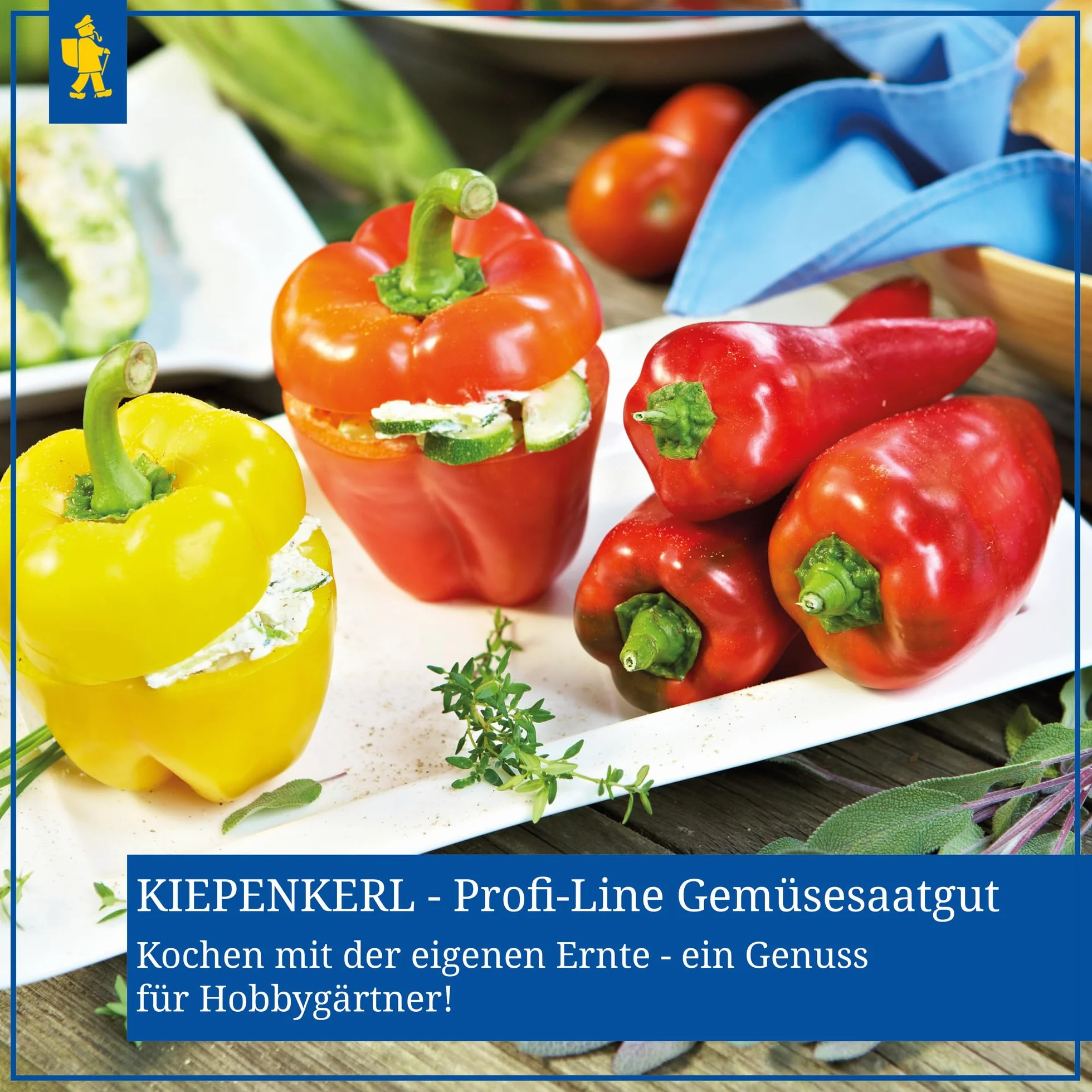 Kiepenkerl, Nasiona Pomidorów Harzfeuer