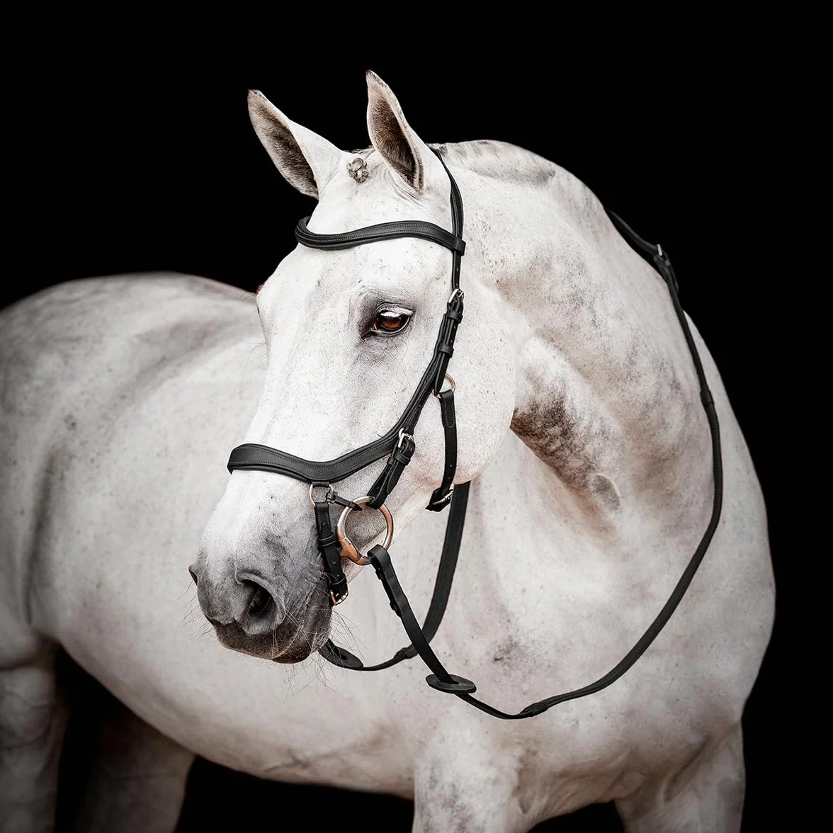 Horseware Micklem 2 Competition Bridle czarny pełny rozmiar