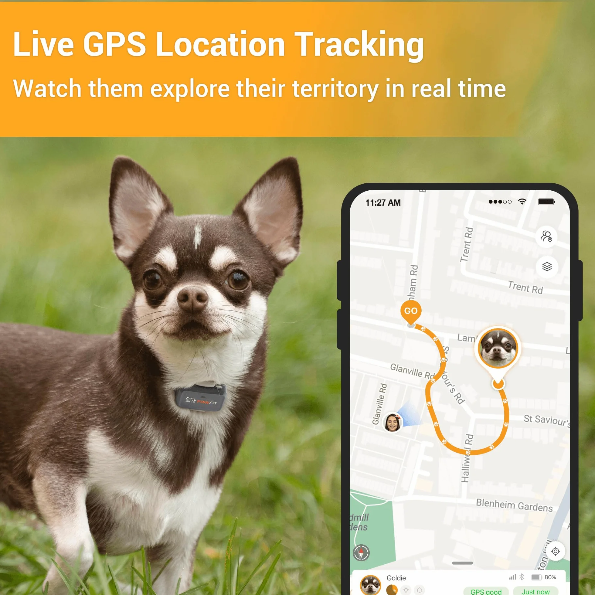 Pawfit Lite for Dogs 4g lokalizator GPS | śledzenie w czasie rzeczywistym | monitorowanie aktywności | historia lokalizacji | nieograniczony zasięg | obroża bezpieczeństwa w zestawie | liliowy szary