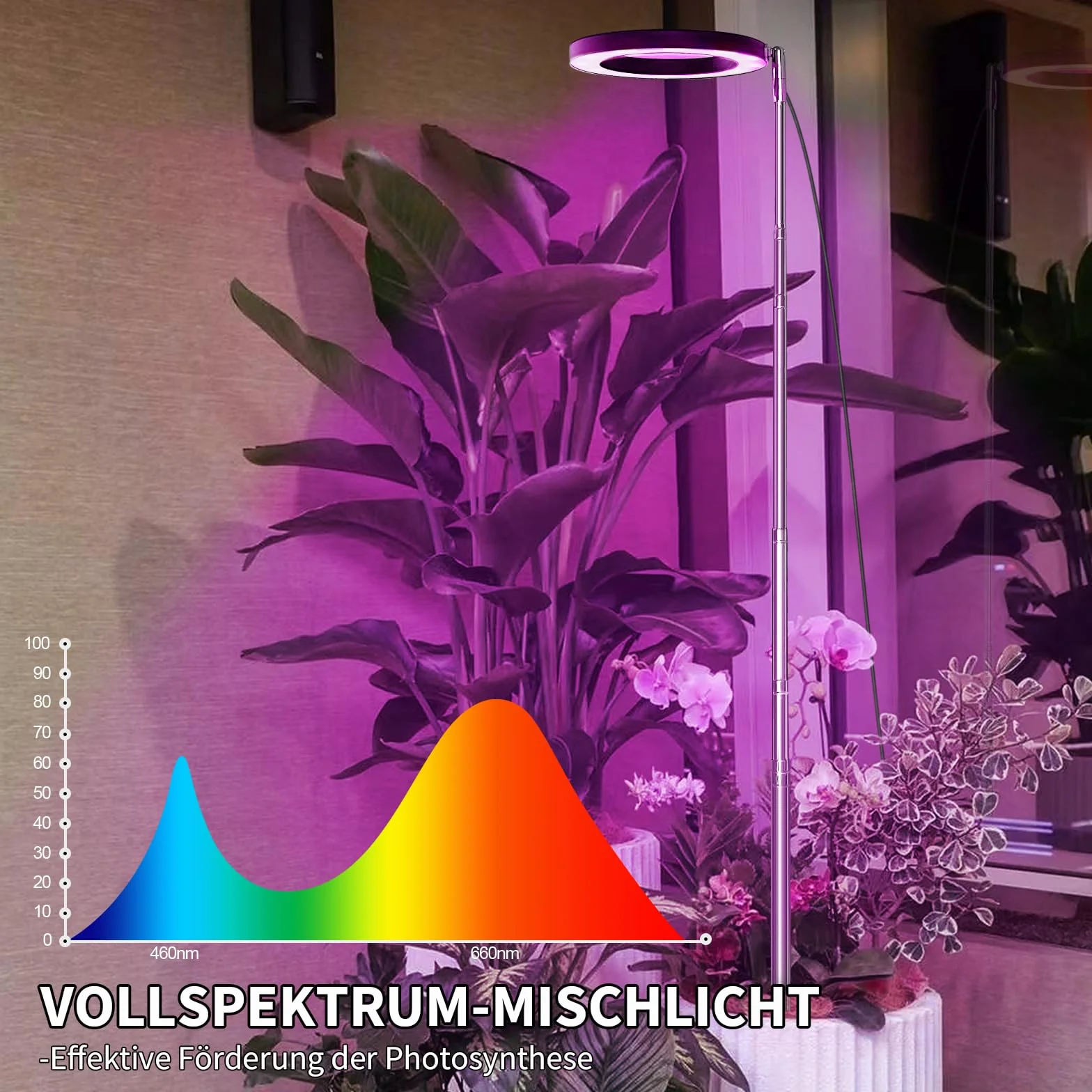 Qoolife lampa roślinna led full spectrum dla roślin domowych, 147 CM regulowana wysokość światła roślinnego z 72 diodami LED, 3 ściemniane poziomy jasności, timer 3/9/12 godzin dla roślin domowych