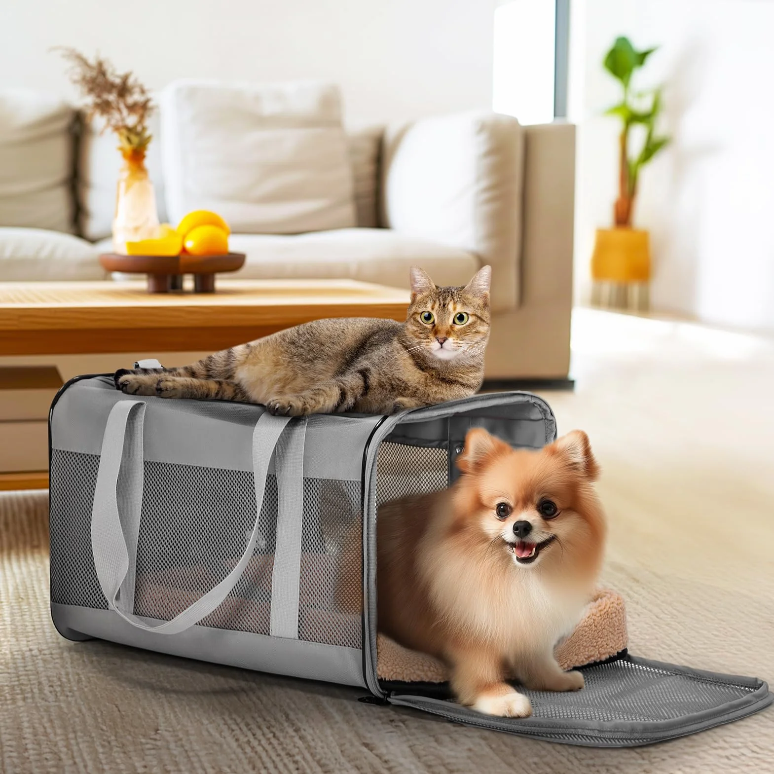 PETSFIT Bagażnik samochodowy dla kota nosidełko podróżne dla psa z opatentowaną klamrą miękką wyściółką