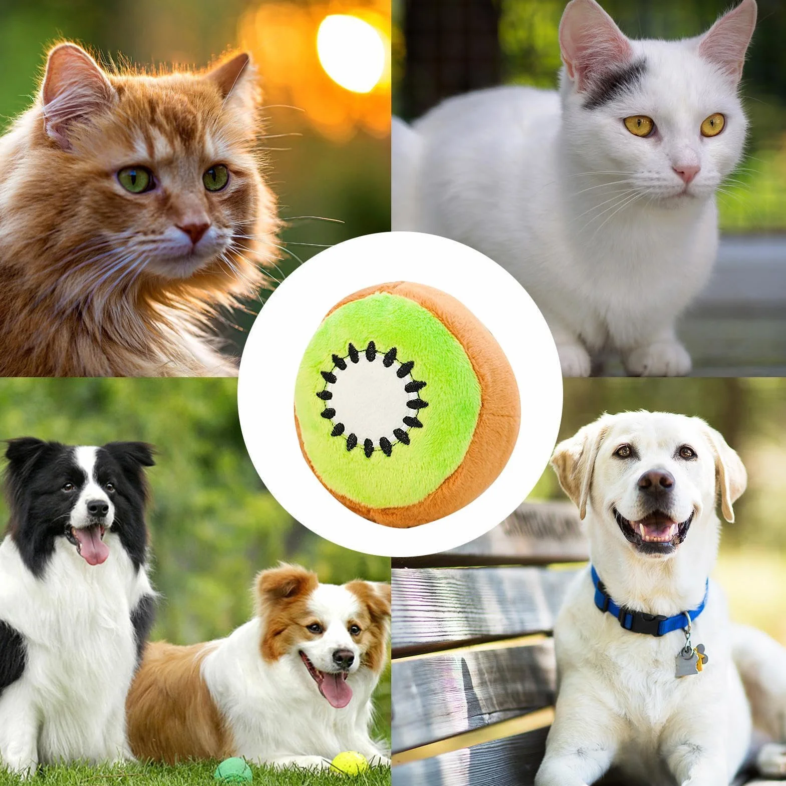 Squeaky Dog Toys, Chew Toys with Fruit Design for Mental Enrichment & Training