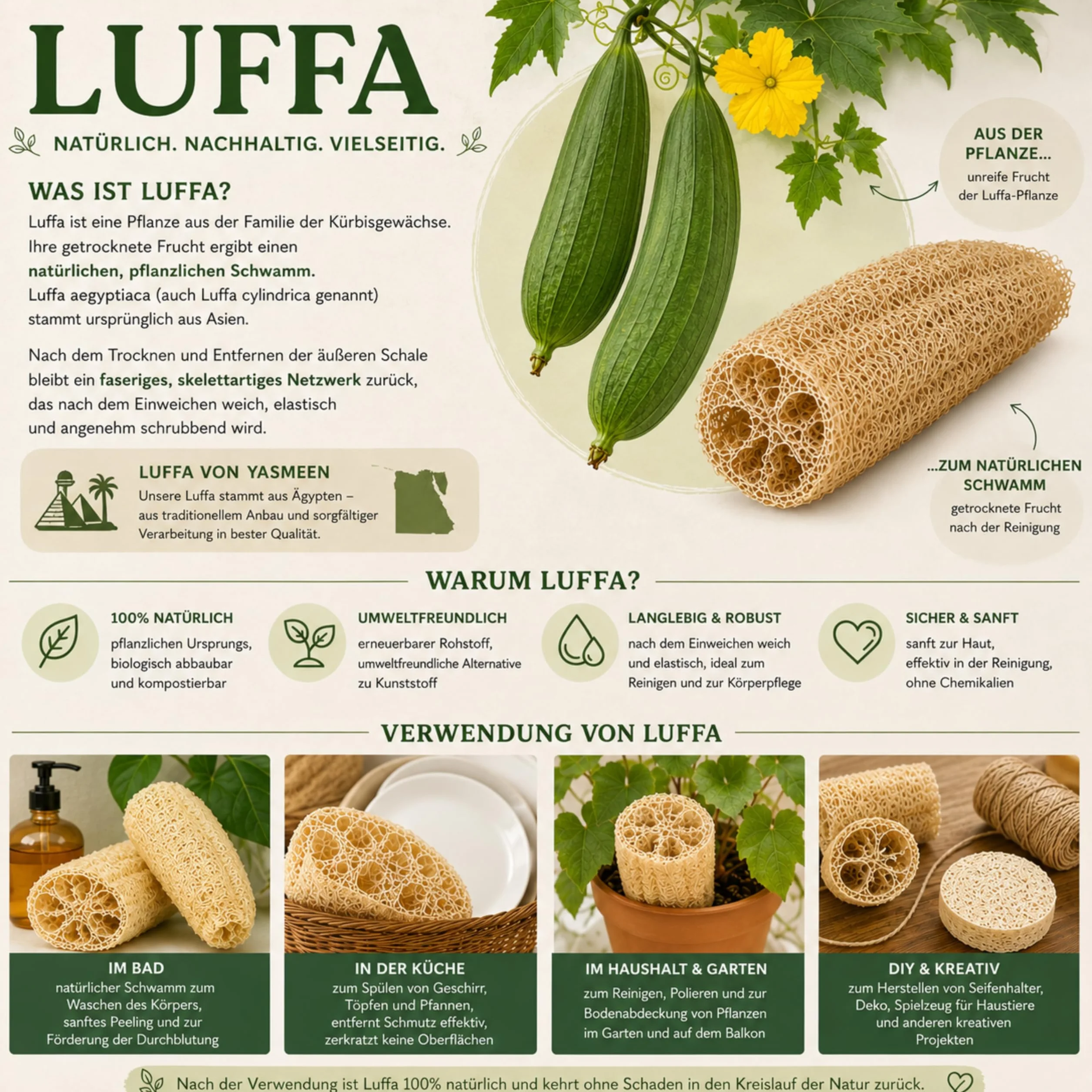 Naturalna gąbka do mycia naczyń z luffa – biodegradowalna, opakowanie 10 szt. – naturalne gąbki luffa – gąbki kuchenne wielokrotnego użytku do naczyń i powierzchni – przyjazne dla środowiska