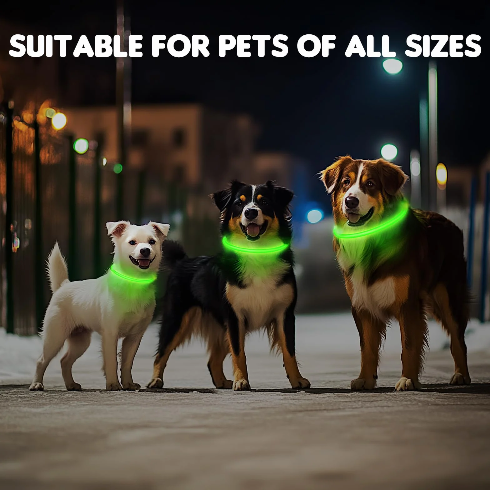 Świecąca obroża dla psa wodoodporna ładowana podświetlana na nocne spacery