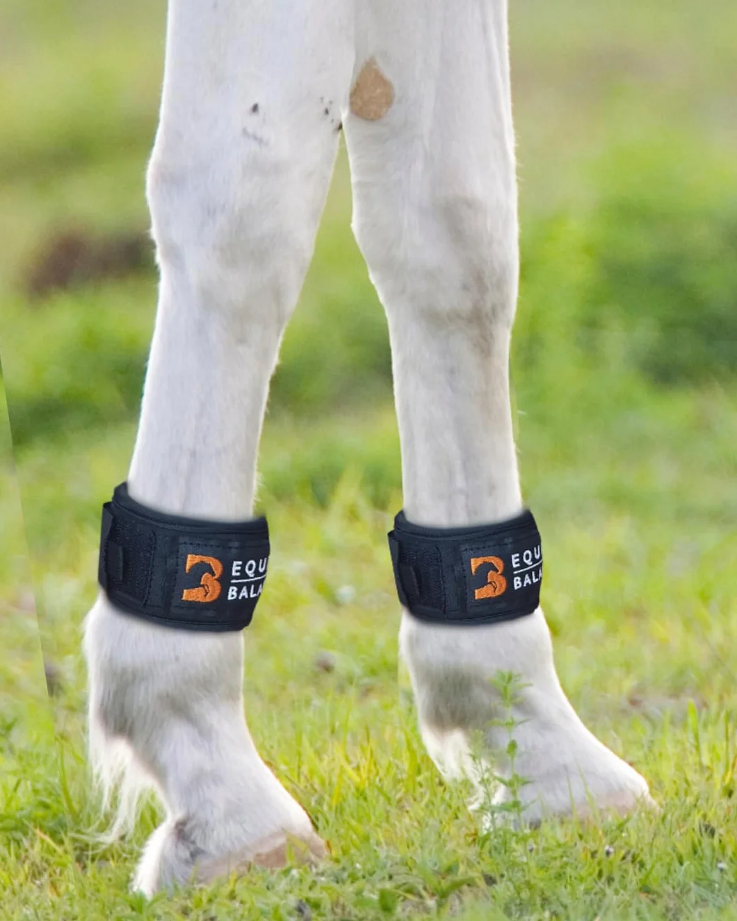 Magnetyczne opaski na nogi dla koni. Terapia magnetyczna Equine Balance Pastern Wraps dla koni i kucyków. Magnesy neodymowe do kopyt, fetlocka, kolan i stawu skokowego (szerokie)