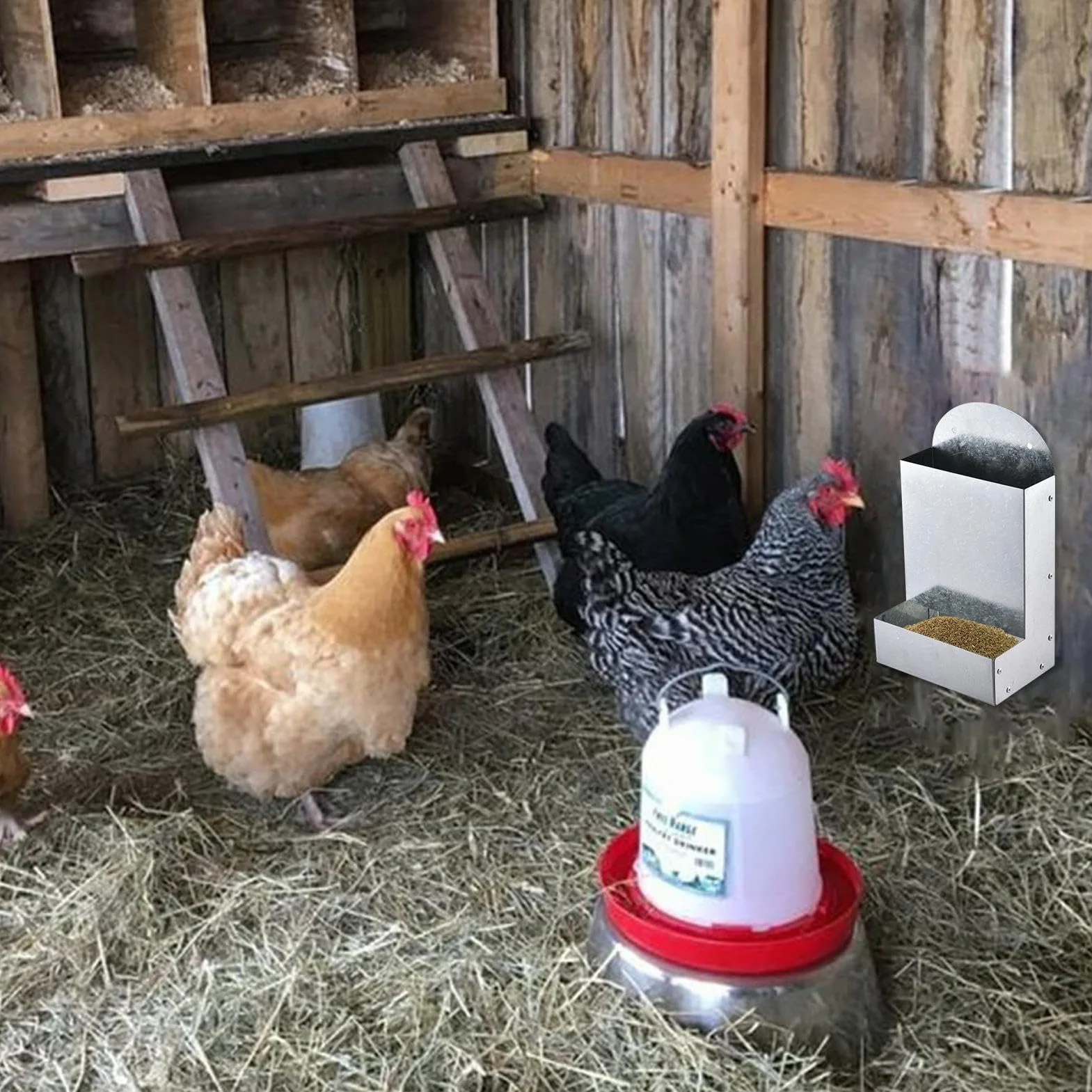 Chicken Feeder Grit, Chickens Coop Feeder, Portable Chick Feeding, Outdoor Accessory, Easy to Use and Maintain, Ideal for Duck, Farm, 5.9x3.9x10.2inches