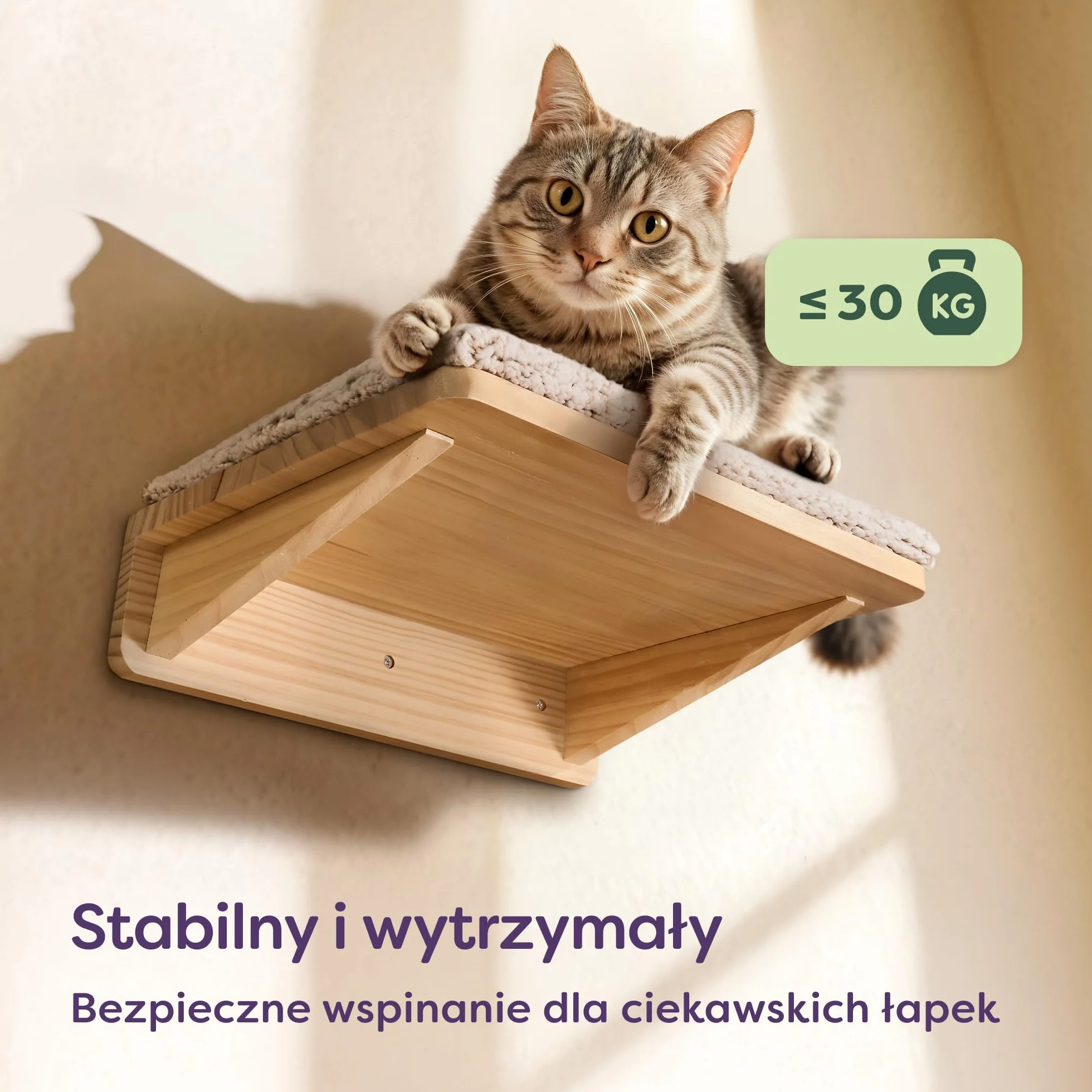 Knupis Zestaw Ściennej Drabinki dla Kota z Legowiskiem, Drewno Sosnowe, Stabilna Półka Ścienna do 30 kg, Beżowy
