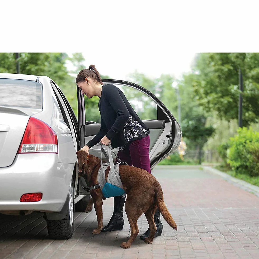 Kurgo Up & About Dog Lifter Mobility Aid Harness for Elderly Dogs with Padded Chest and Adjustable Straps