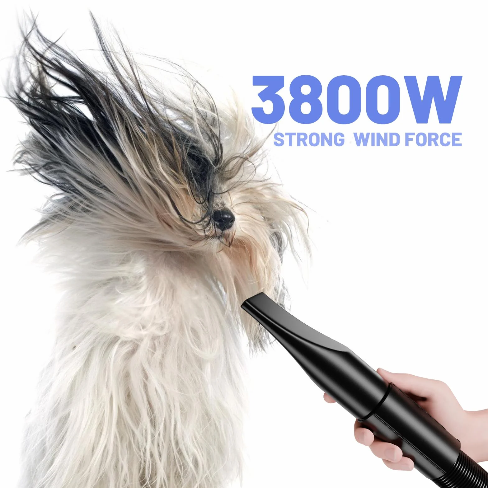 Dmuchawa dla psa 5,2 KM 3800 W regulowana prędkość 4 dysze elastyczna rurka