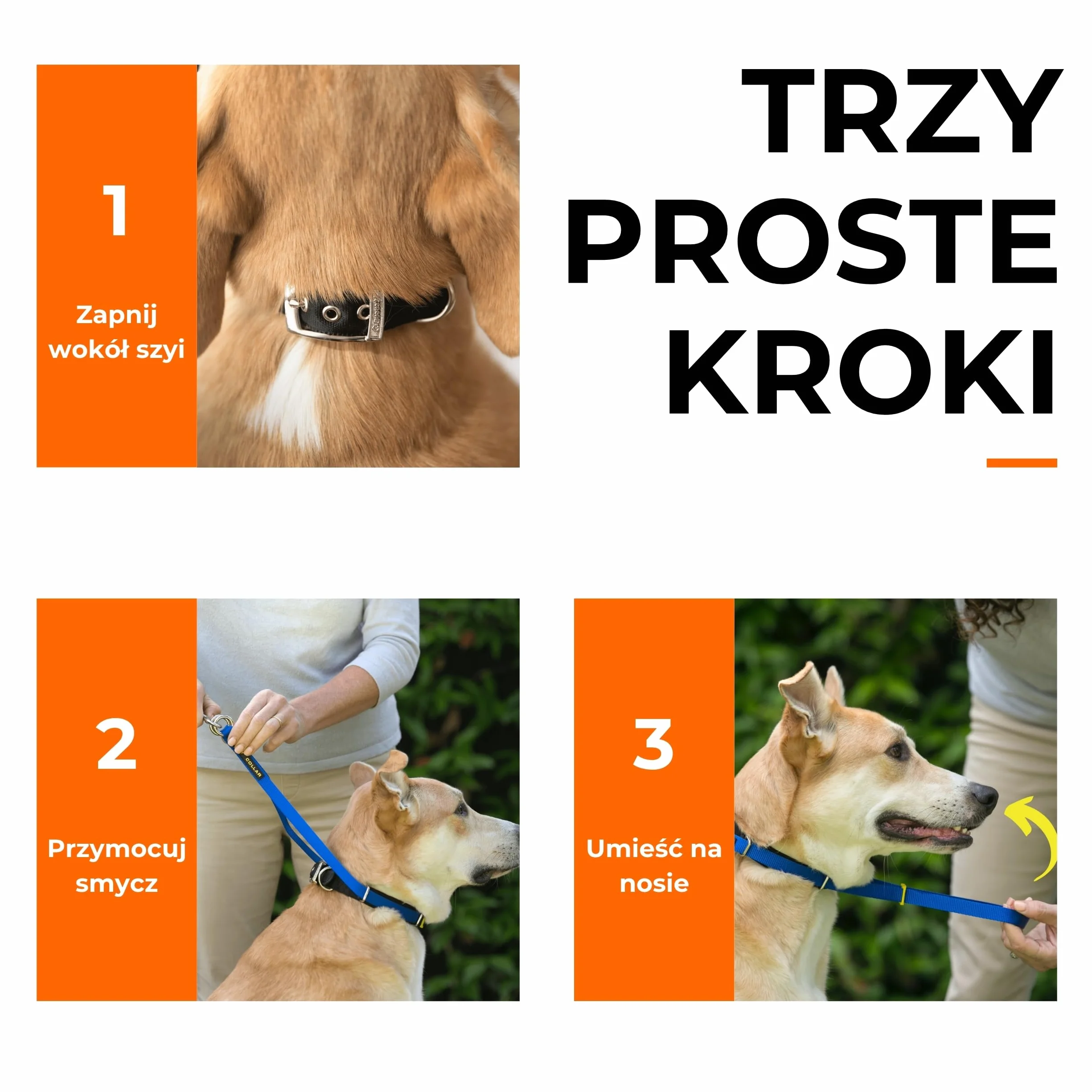Canny Collar – Obroża Treningowa Przeciw Ciągnięciu | Kantar na Głowę, Uczy Chodzenia na Luźnej Smyczy | Spokojne, Bezstresowe Spacery | Czarna, Rozmiar 2