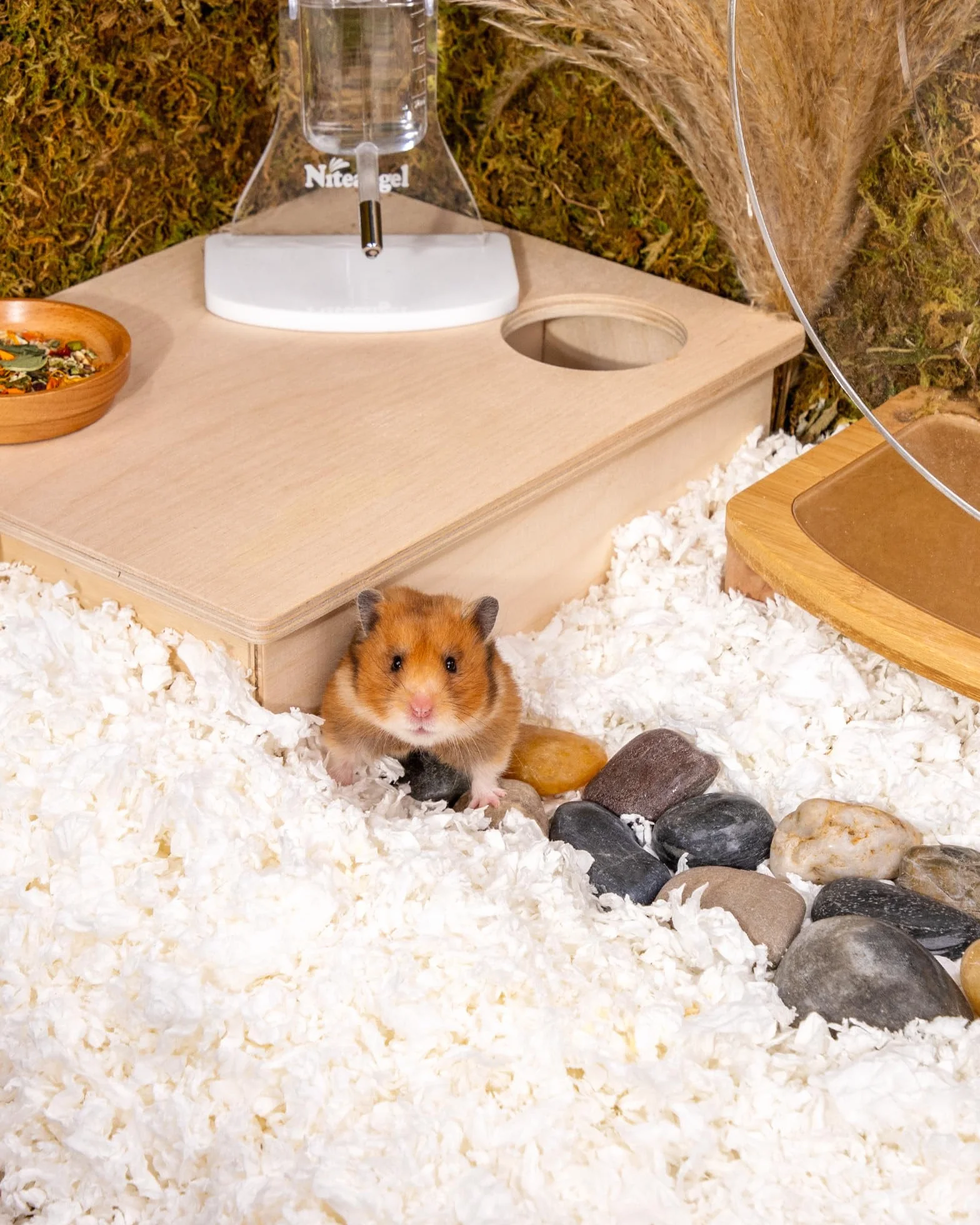 Niteangel Osika do golenia chomika dla chomika syryjskiego karłowatego chomika myszoskoczków degu szczur królik świnka morska szynszyla jeż lub inne małe zwierzęta (36 l - biała pościel papierowa)