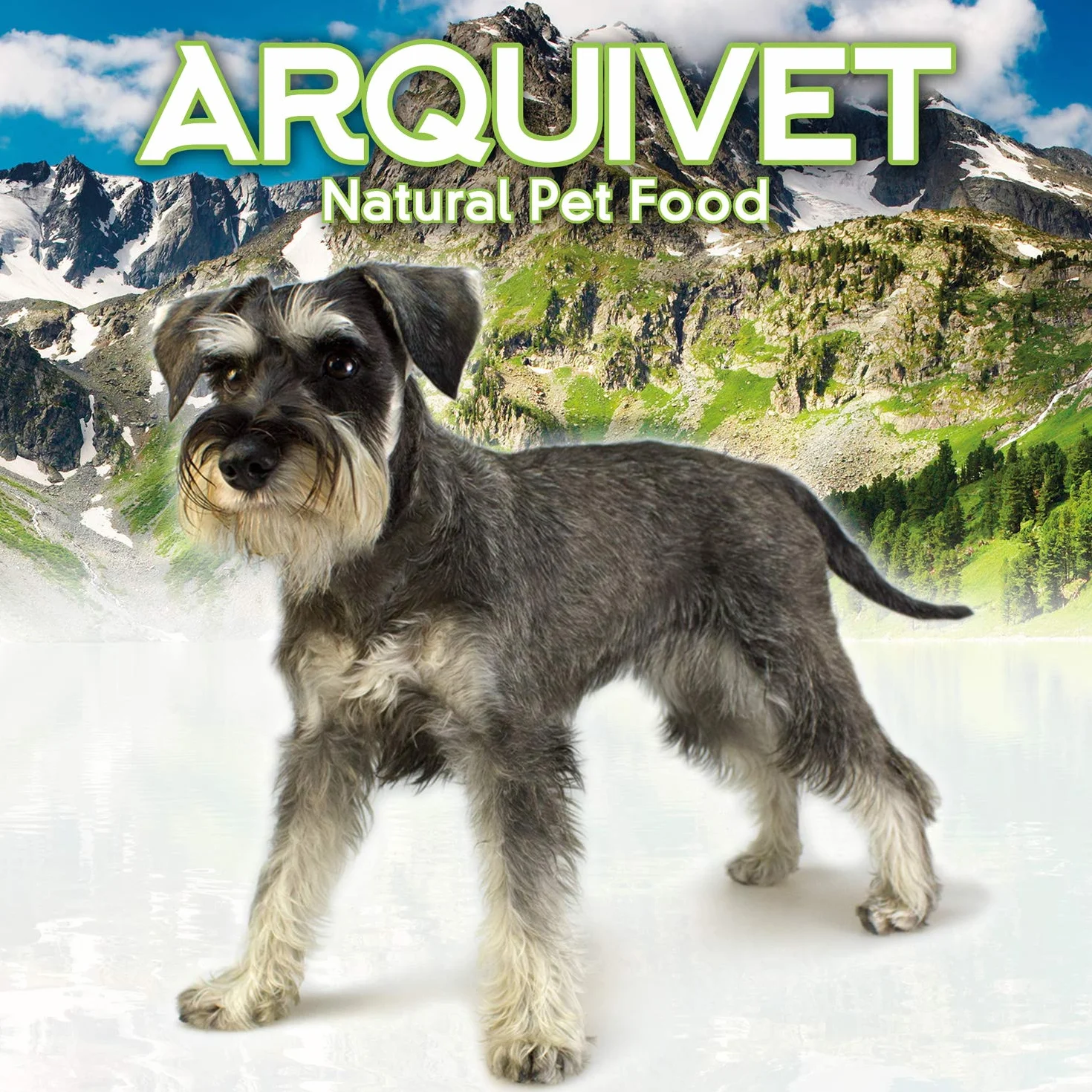Arquivet Soft Snacks Huesitos and Hearts Mix 340 GR