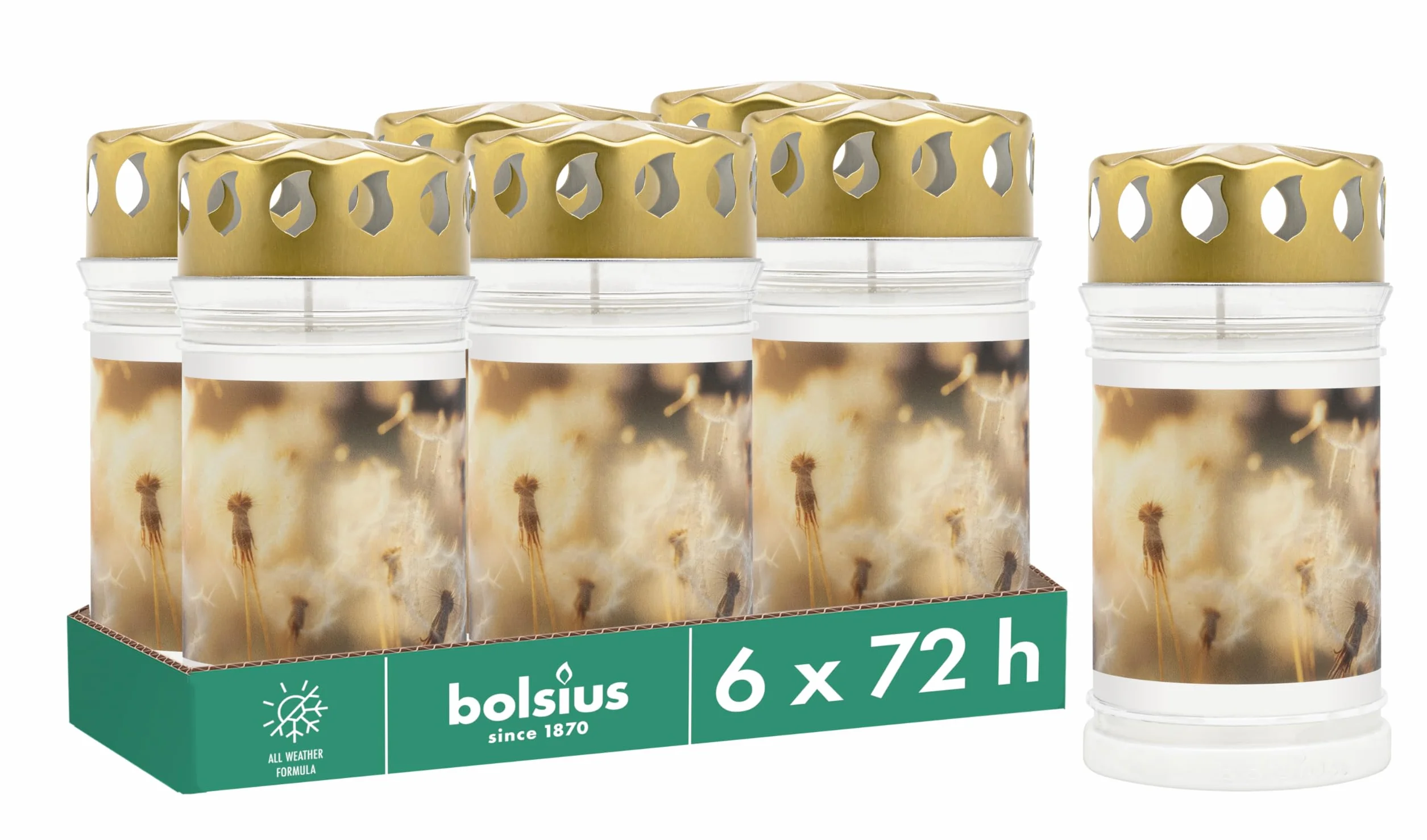 Bolsius Znicz – z motywem – mniszek lekarski – zestaw 6 sztuk – długość palenia 3 dni – świeca żałobna i świece na miejsce pamięci – czyste spalanie – bez oleju palmowego