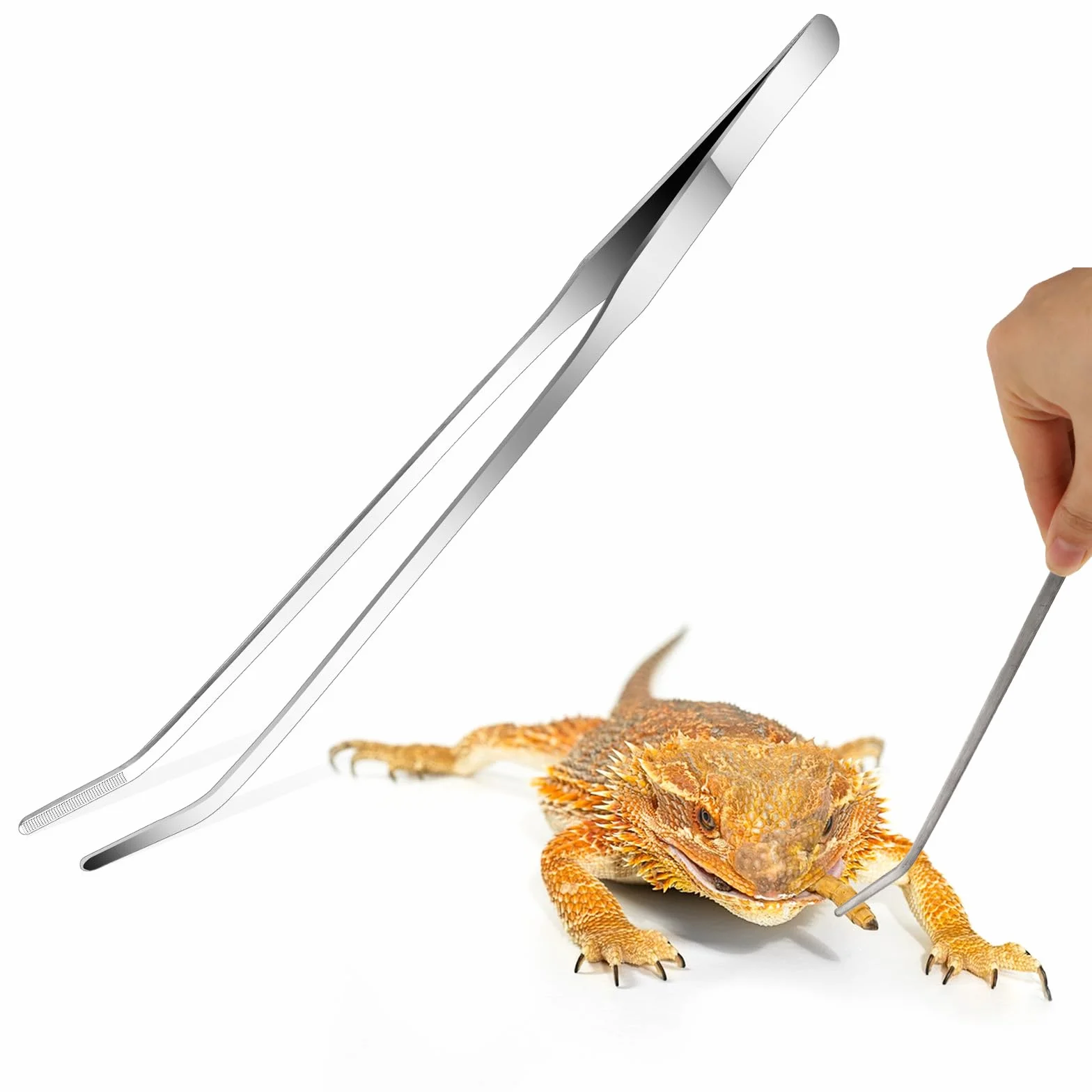 Szczypce do karmienia ze stali nierdzewnej z gumową końcówką, zakrzywiona długa pęseta do akwarium i terrarium