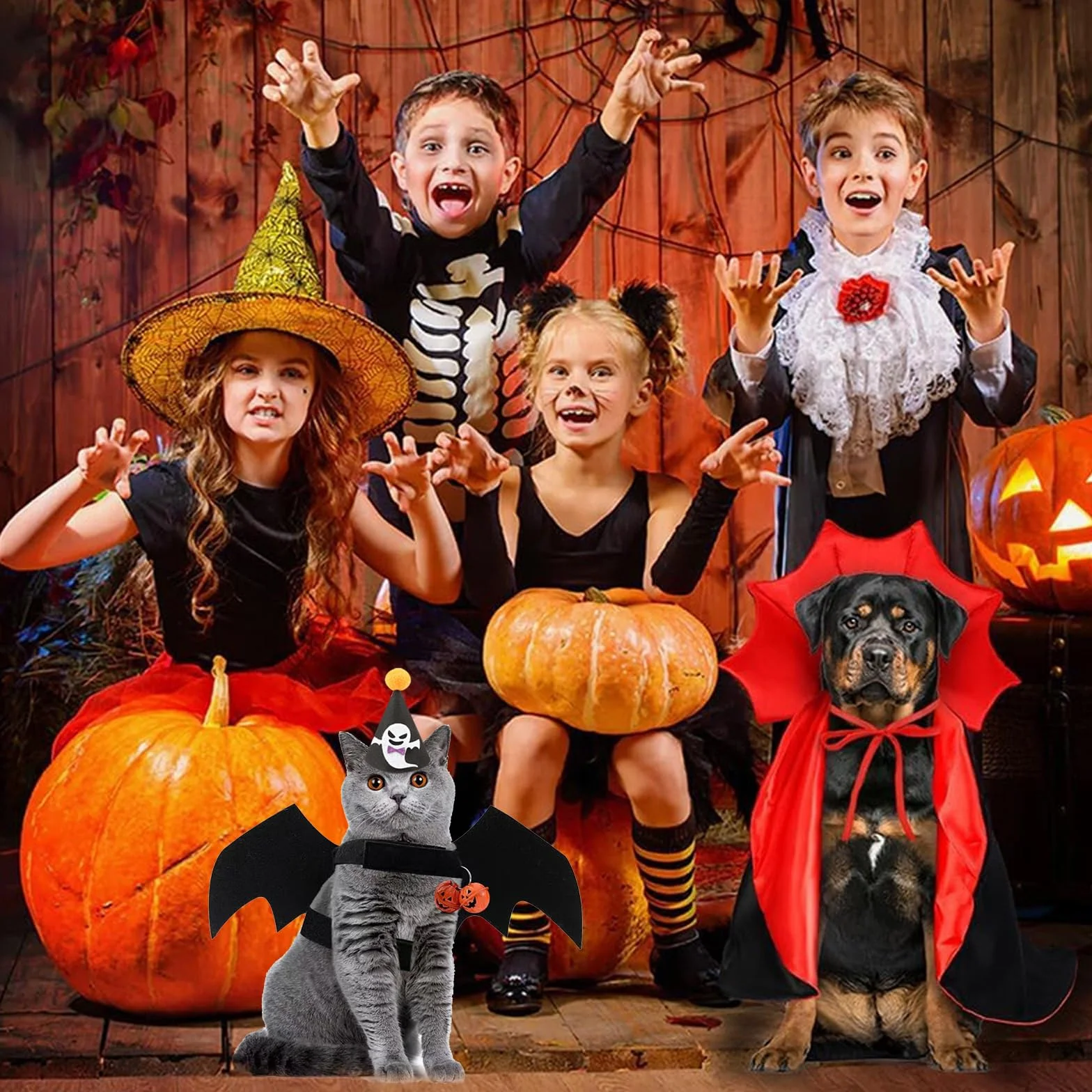 Kostium na Halloween dla zwierząt domowych, skrzydła nietoperza dla kota kostiumy dla kota na cosplay karnawał