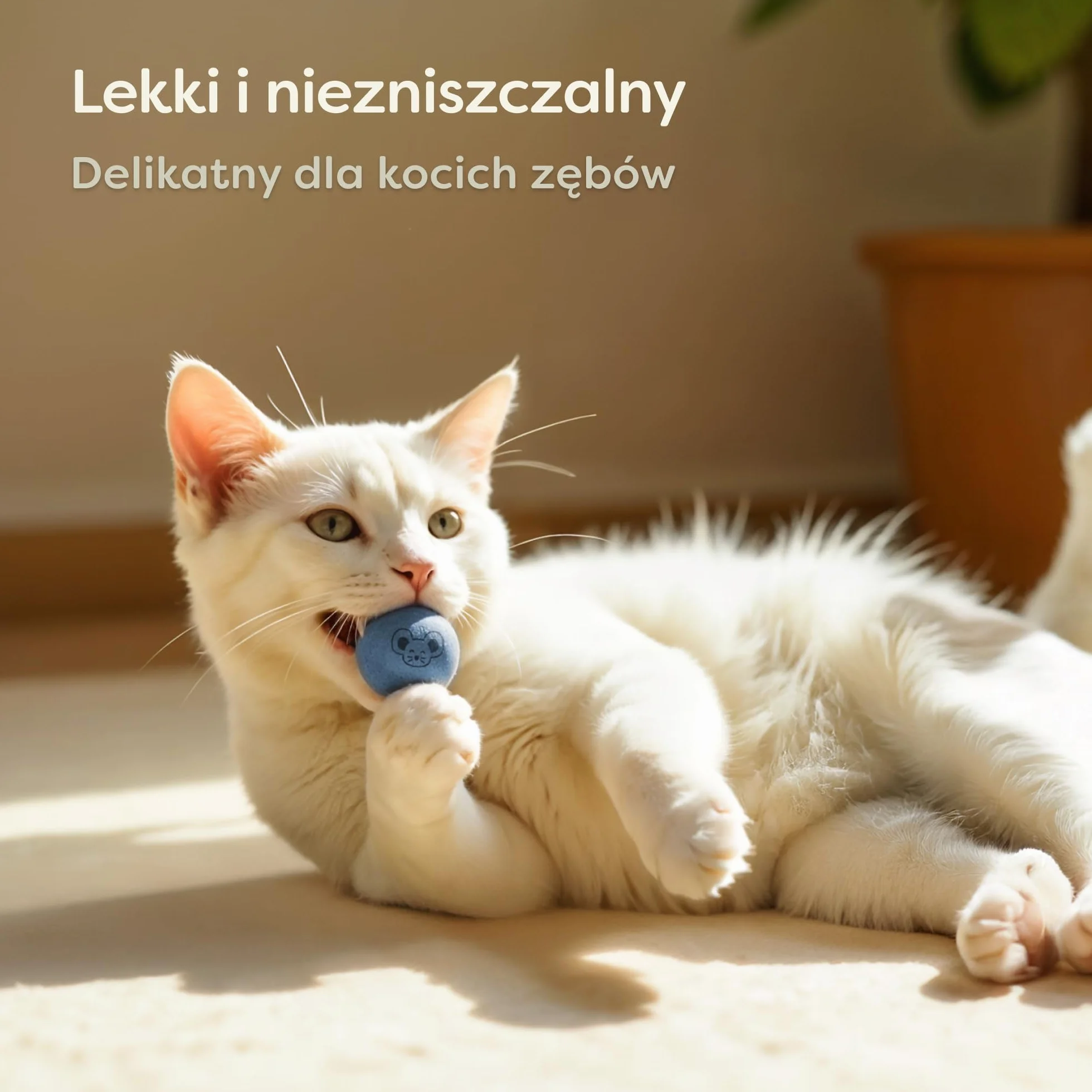 Knupis filcowe kulki dla kota 6 kulek z wełny ekologiczna zabawka w jasnych kolorach torba do przechowywania