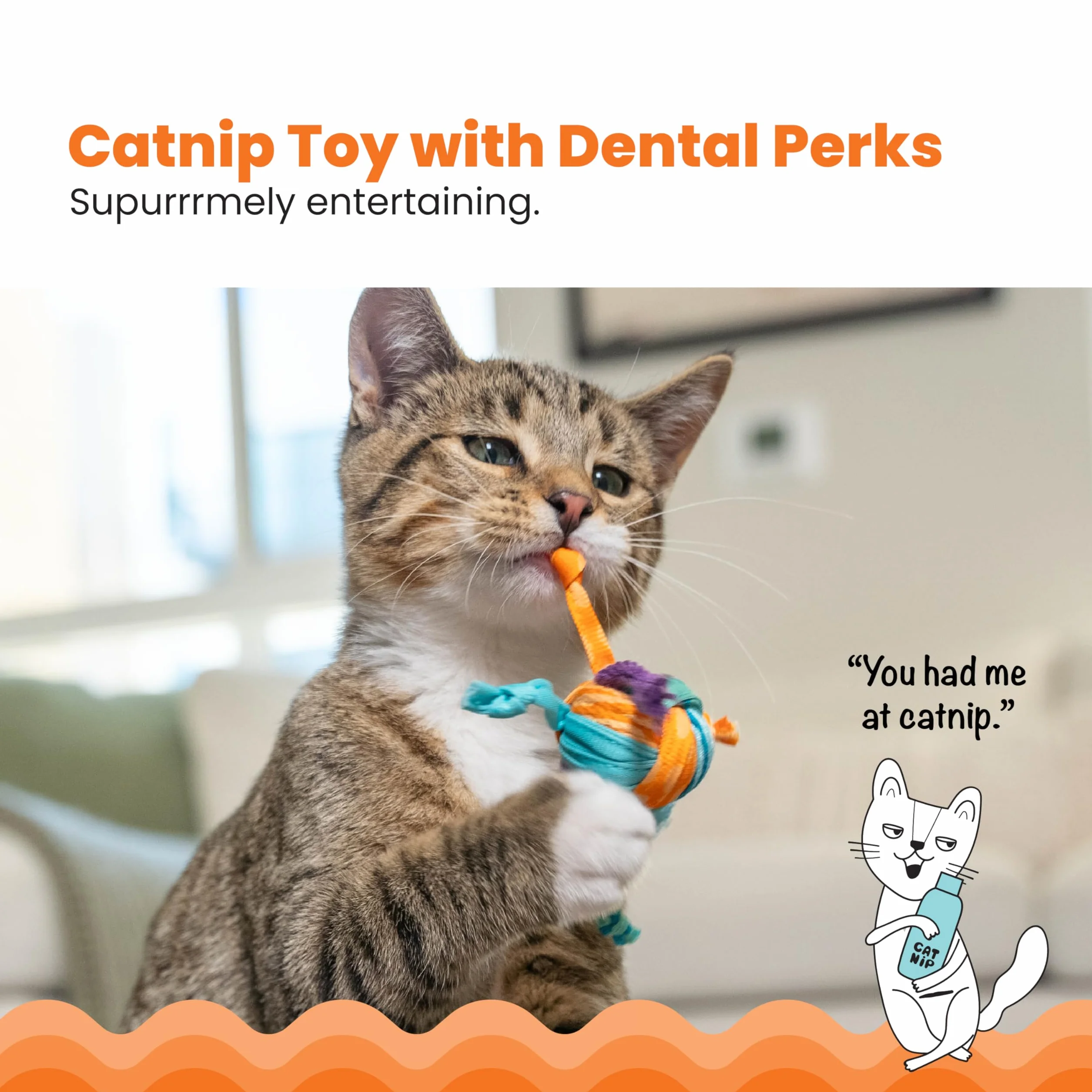 Petstages Tons of Tails - Dentystyczna zabawka dla kotów - z kocimiętką - wielobarwna