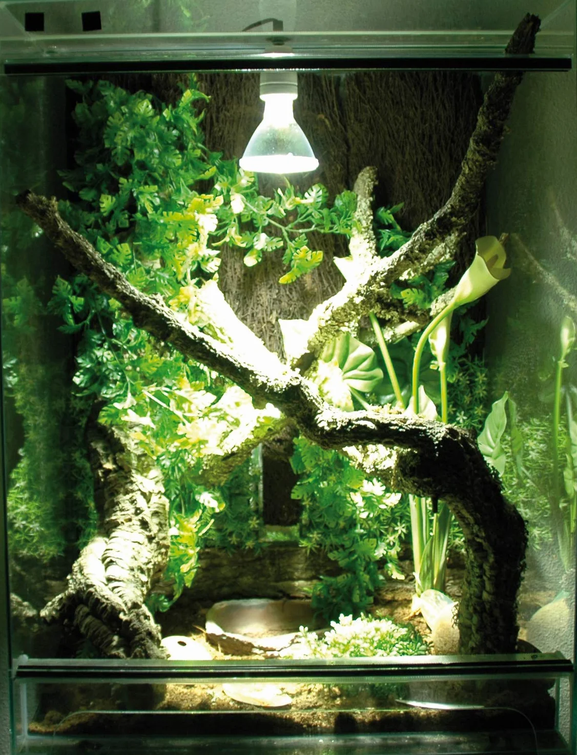 Lucky Reptile Bright Control EVO Statecznik 35W do lamp UV metalowych parowych Elektroniczny statecznik do promiennika Bright Sun UV