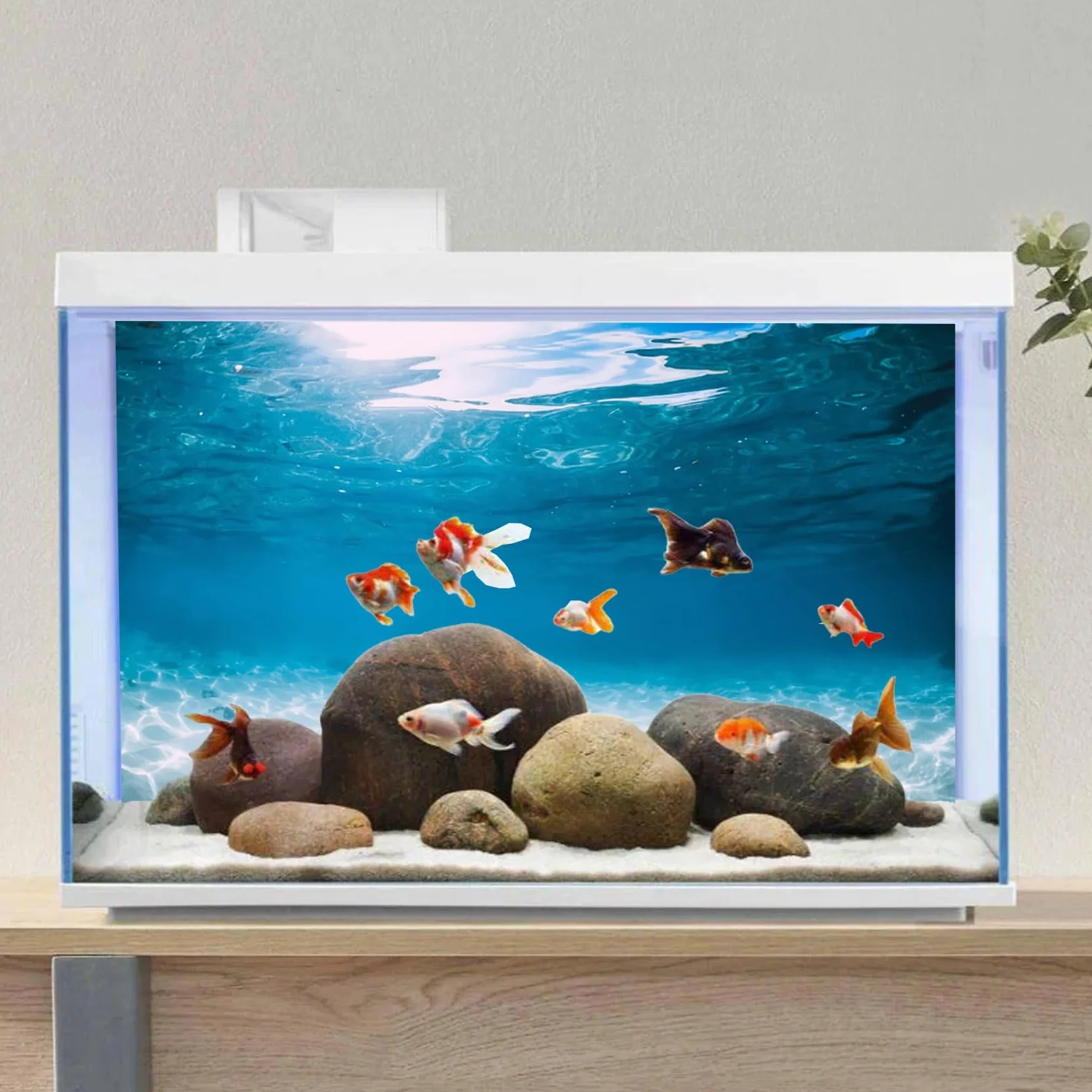 Plakat tło akwarium podwodny świat ocean 180 x 61 cm dekoracja