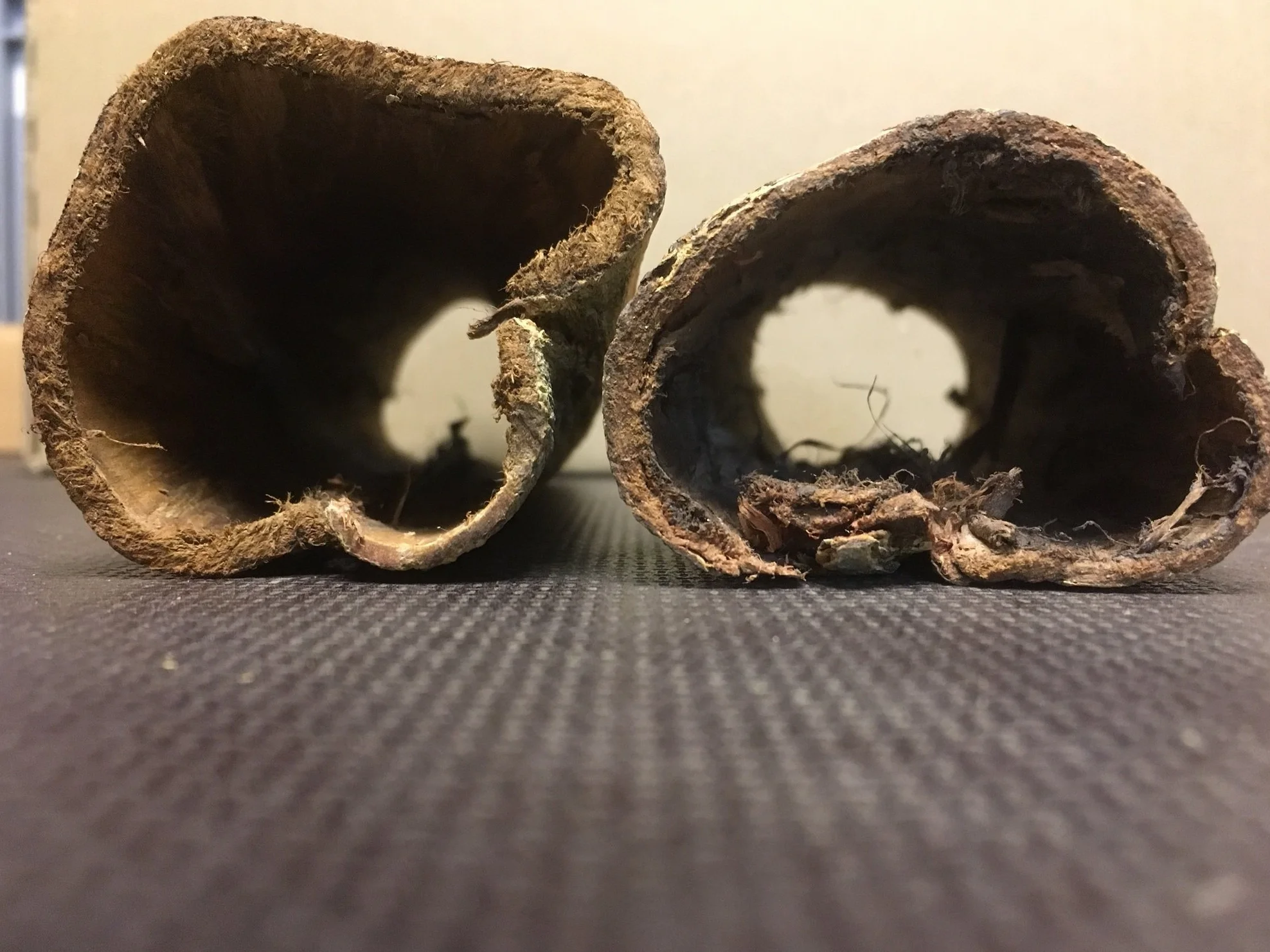 2 duże zagłębienia cudownej broni, indyjskie drzewo migdałowe dla koneserów (średnica 3-4 cm, długość 15-20 cm, łącznie ponad 100 g) dekoracyjna odżywka do wody, rurki z kory Catappa