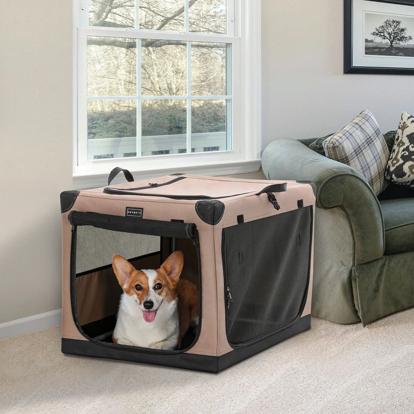 Petsfit Składane Pudełko dla Psów Średnich i Dużych z Materiałem Transportowym
