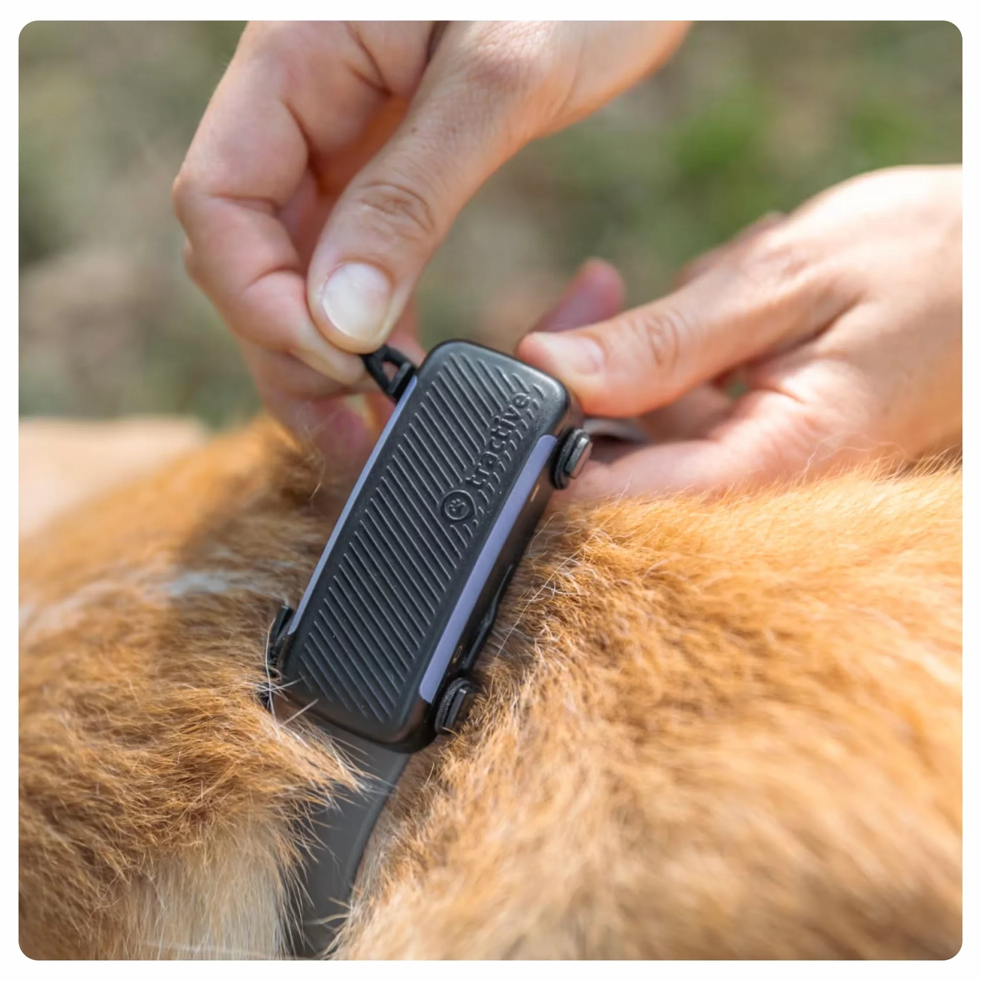 Tractive klips z tkaniny x2 duży czarny do lokalizatora GPS DOG 6