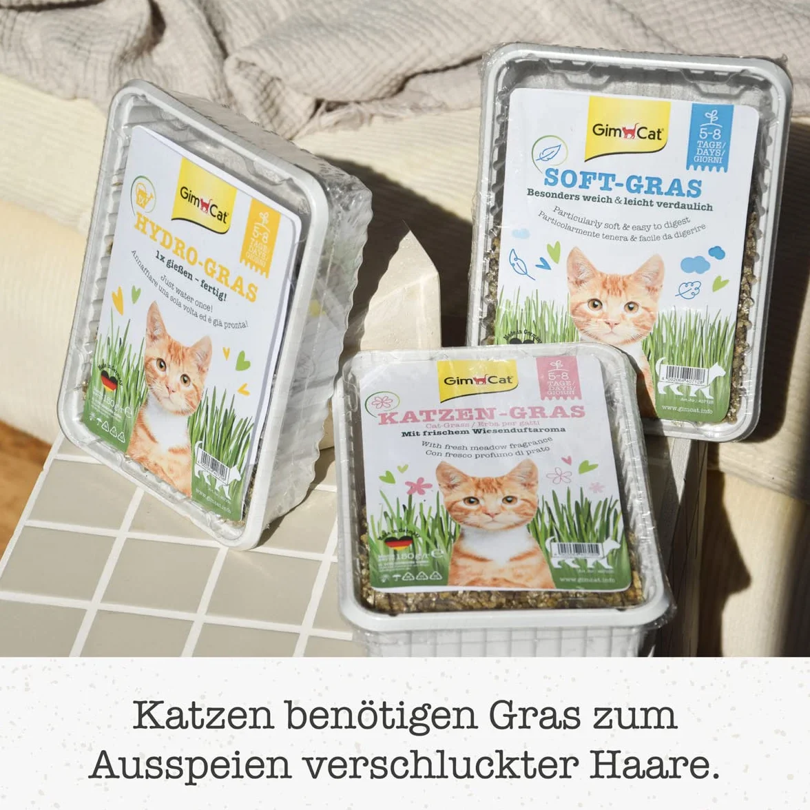 Gimcat Hydro-Grass Trawa dla Kotów, 150 g