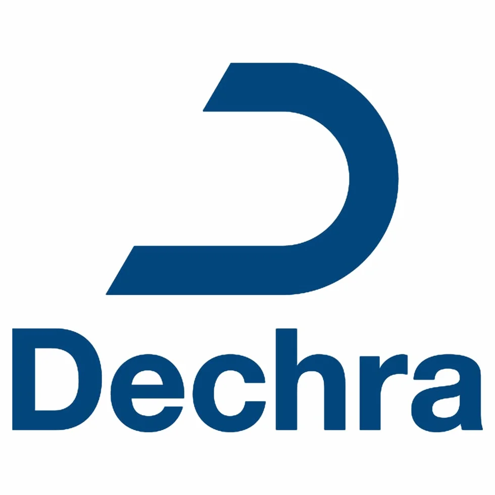 Dechra Catney One | 30 x 520 MG | Karma uzupełniająca dla określonych celów żywieniowych u kotów | wspomagająca czynność nerek w przypadku przewlekłej niewydolności nerek