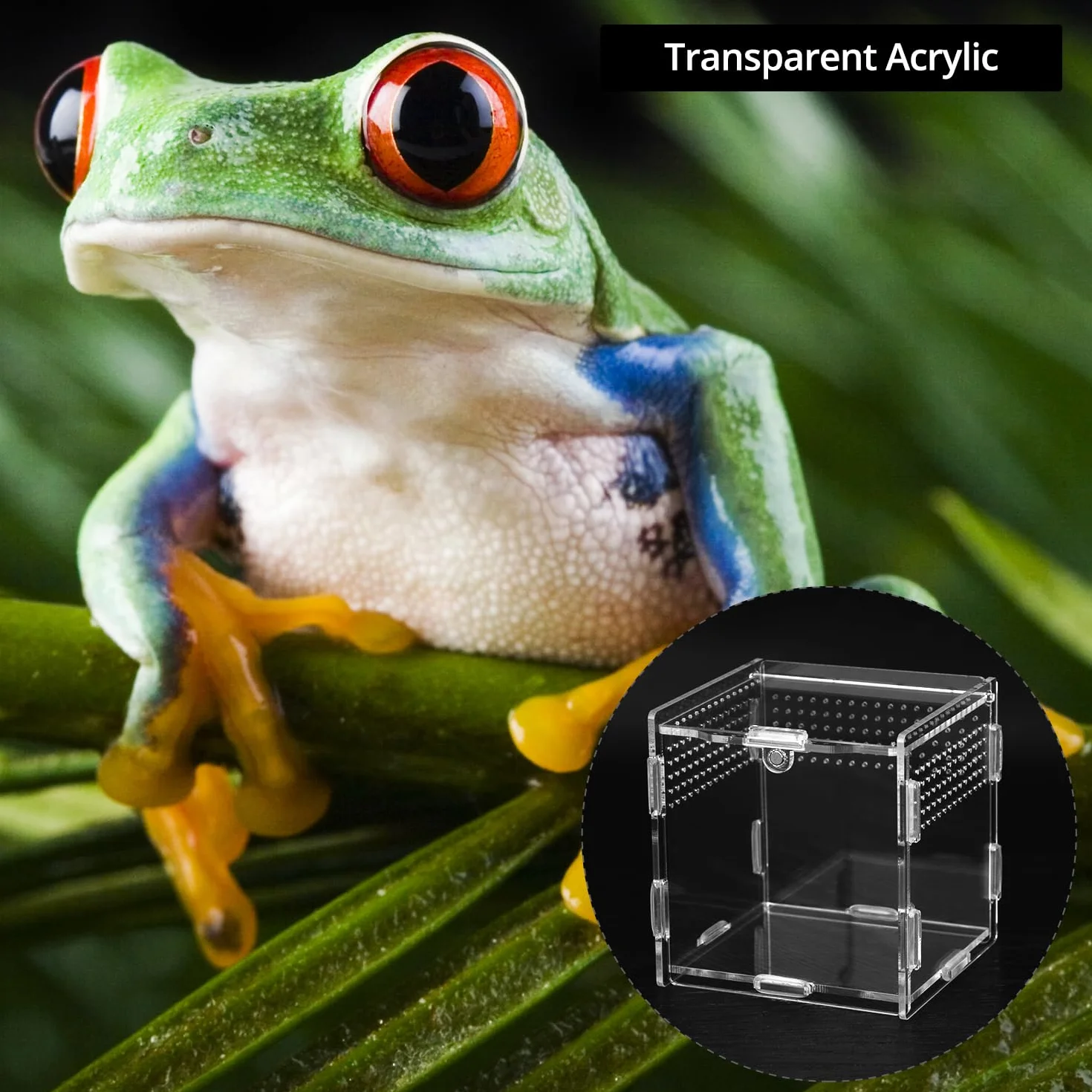 QWORK® pudełko do karmienia gadów z akrylu, przezroczysty akrylowy terrarium do owadów, 9,5 x 9 x 9 cm dla modliszek, pająków, jaszczurek, ślimaków