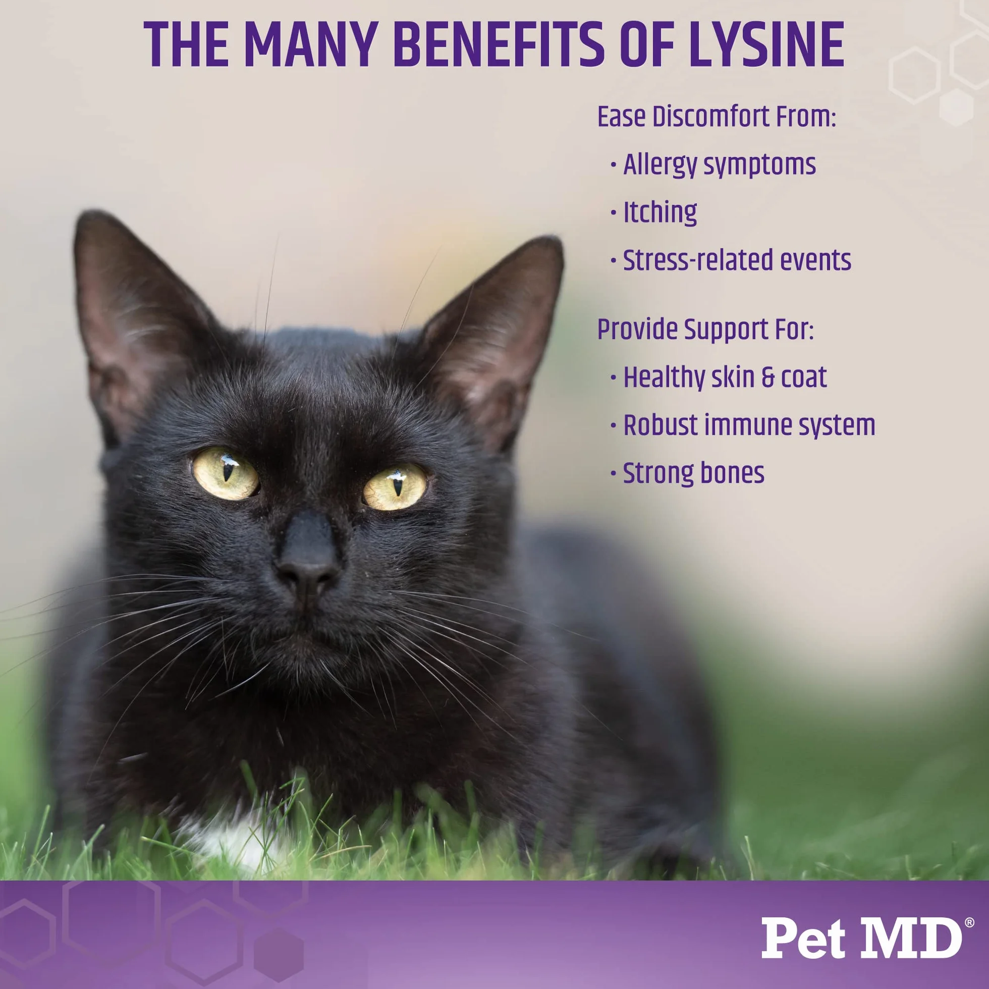 Pet MD Lysine Support Gel dla kotów 50 ml - L-Lysine wsparcie alergii i odporności