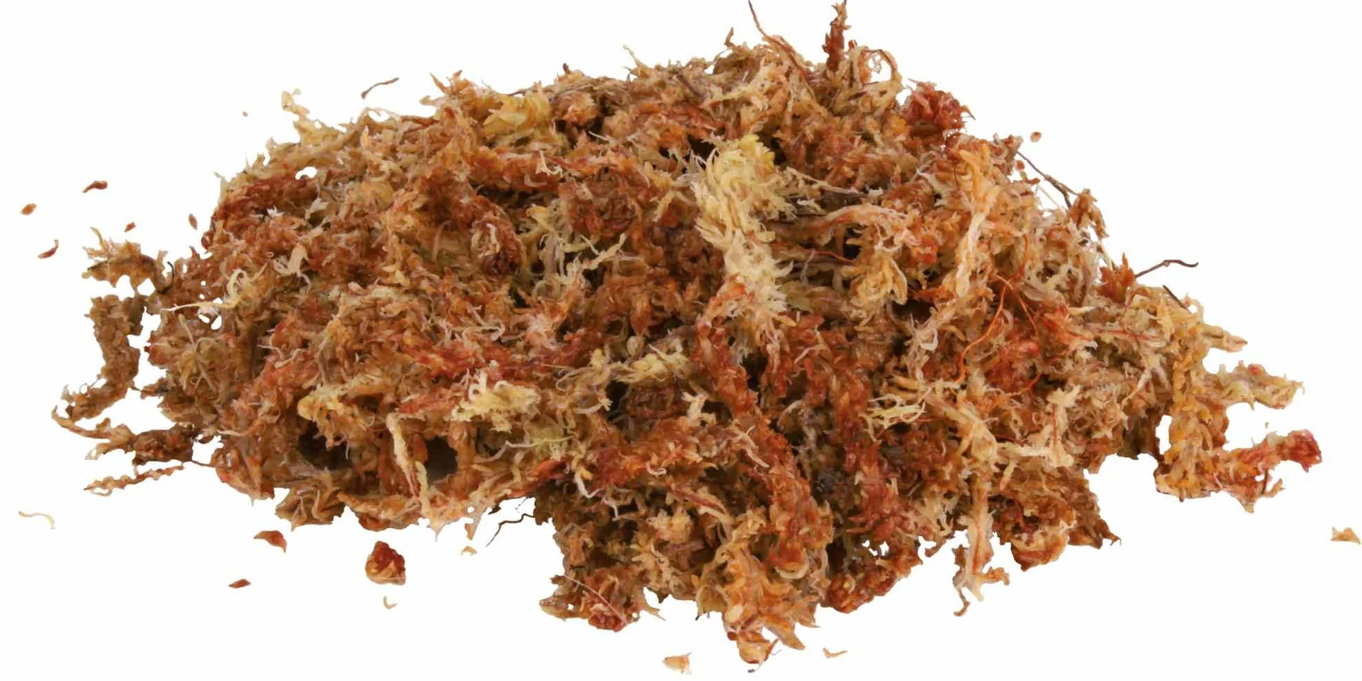 Trixie Reptiland Podłoże do Terrarium 100 g