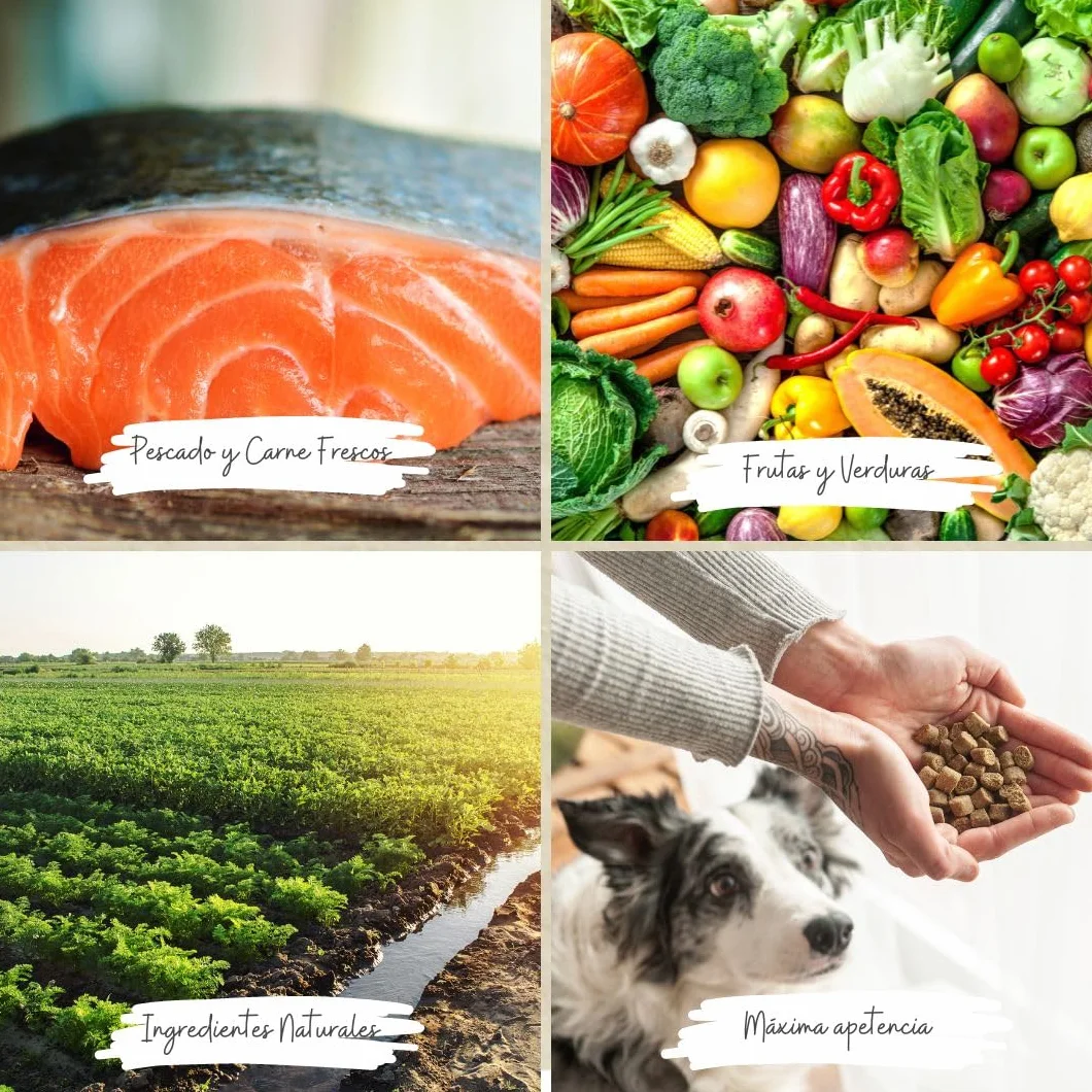 Arquivet Fresh Farm Poultry 2,5 Kg Karma pełnoporcjowa dla psów świeże mięso i ryby