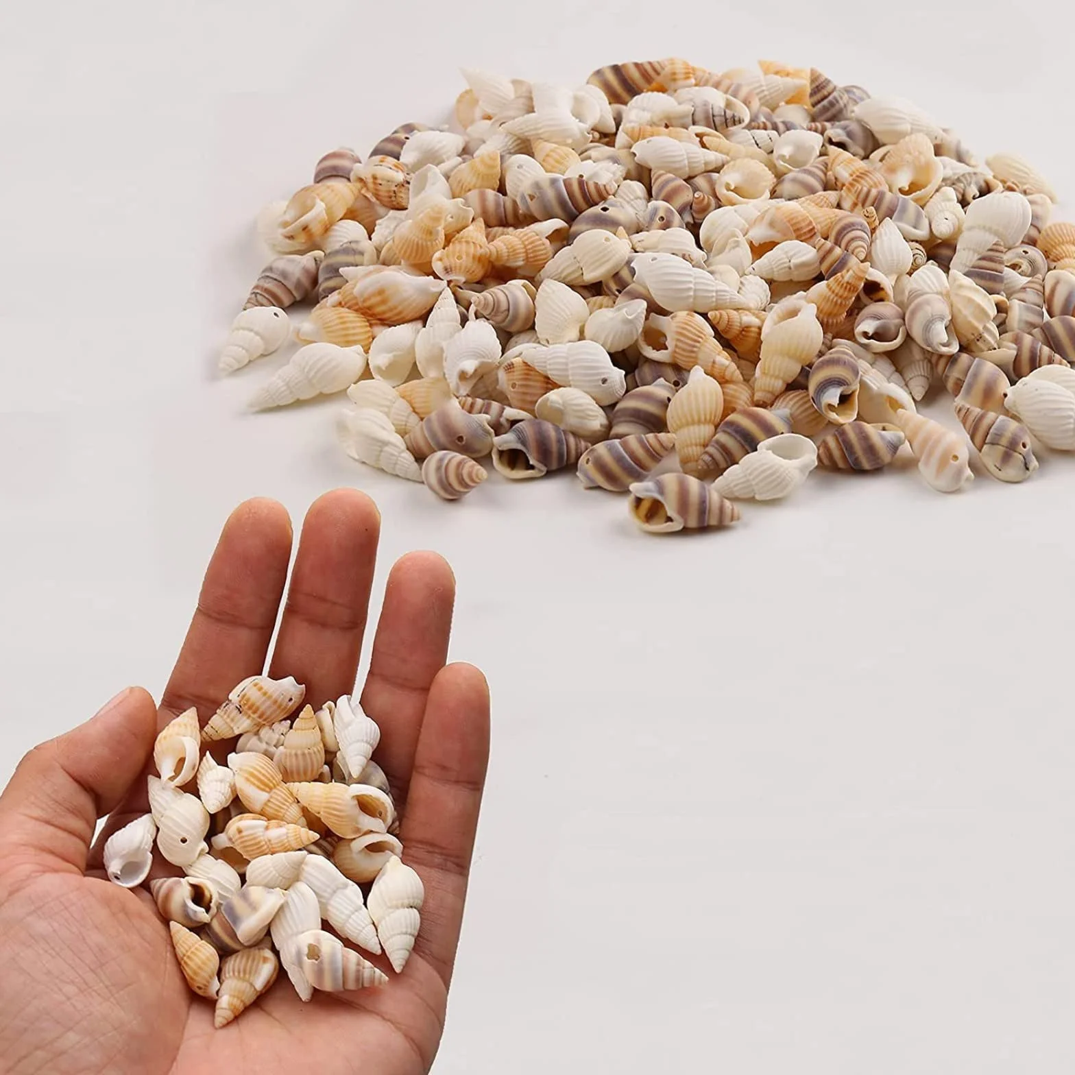 Shells Mixed, naturalne muszle, muszle plażowe, muszle do majsterkowania, dekoracyjne muszle, do majsterkowania i dekoracji domu, dekoracja na imprezy, wesela, ok. 100 g