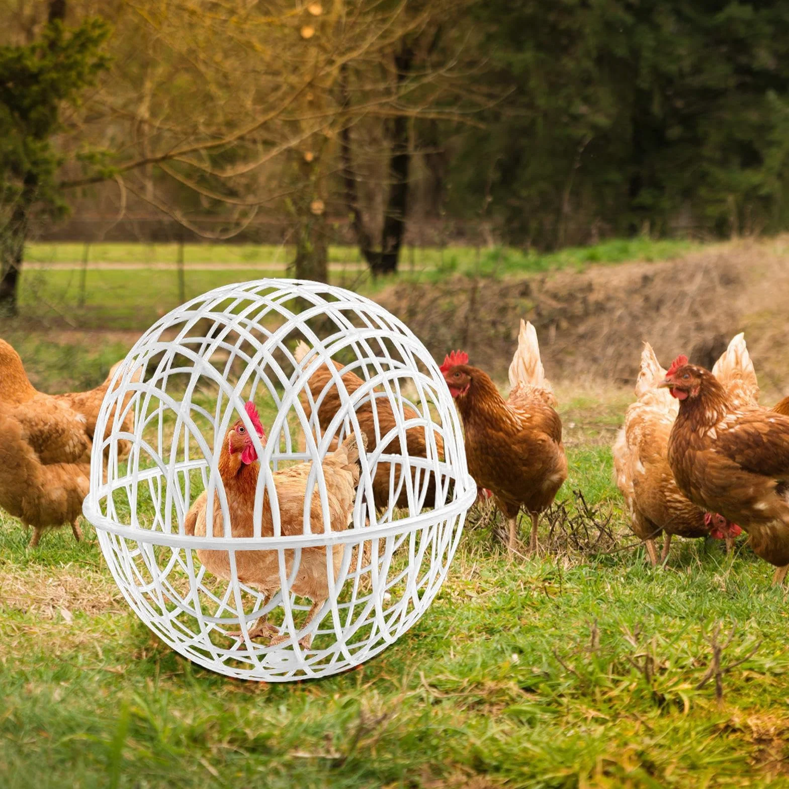 Chicken Globes for Outside Roaming - 3 Pieces Movable Chicken Cage Ball | Durable Poultry Habitat Supplies for Garden Vegetable Protection, Chickens Housing Pasture Yard Grazing Farm Free-Range Use