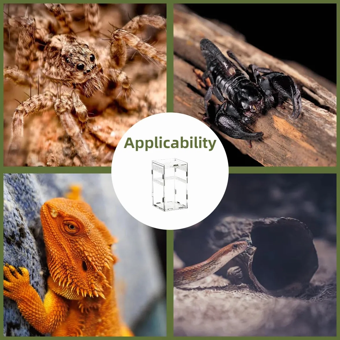 Przezroczyste akrylowe terrarium dla gadów 360° z pustymi porami