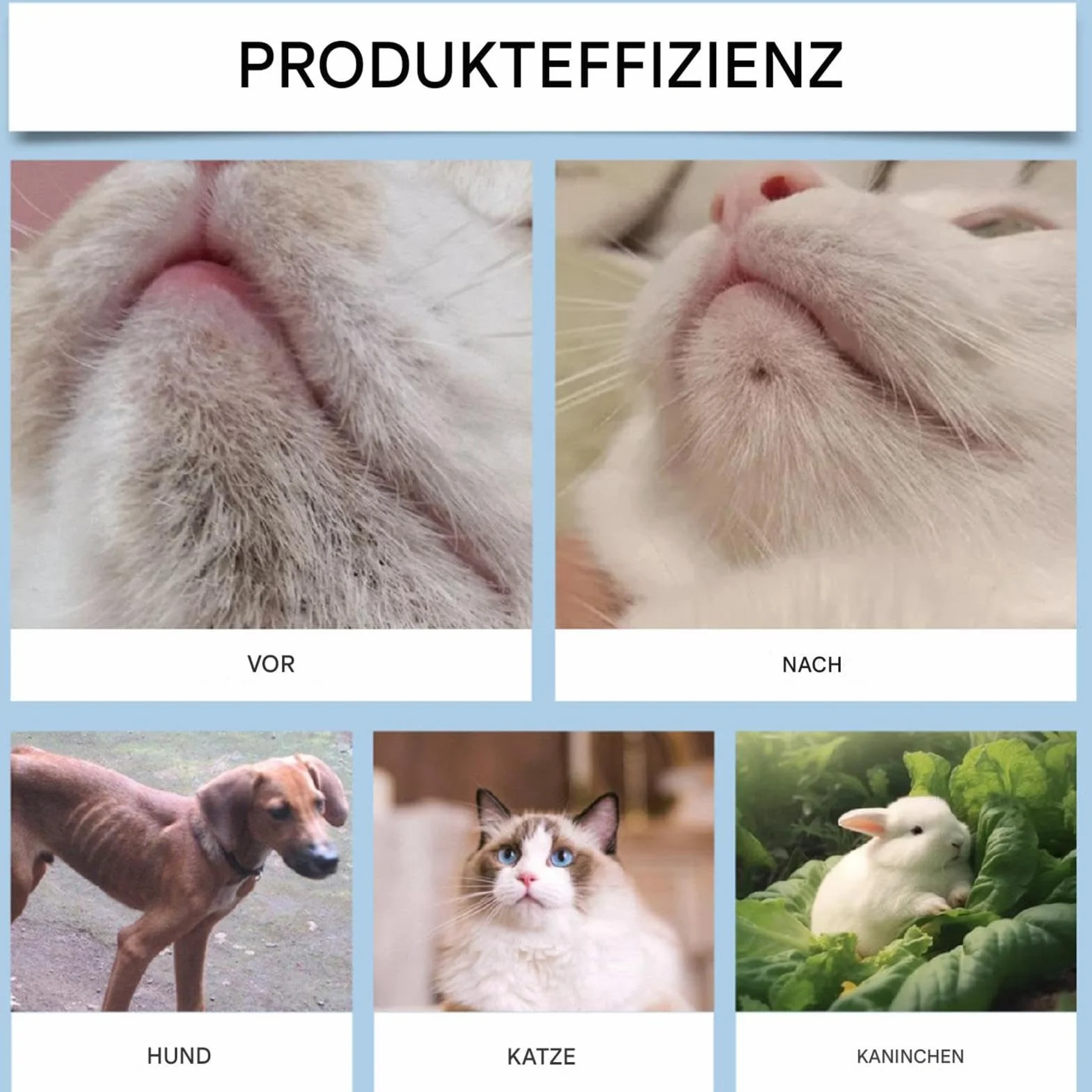 Zestaw do pielęgnacji trądziku kociego, 30 g, krem do usuwania trądziku kota ze szczotką do czyszczenia, delikatnie usuwa wąsy kota, odżywia miękki i świeży podbródek kotów