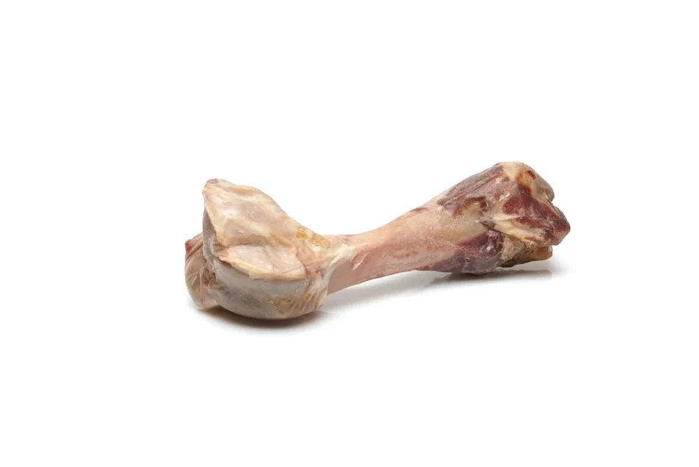 friGERA Italian Ham Bone XL 1 szt