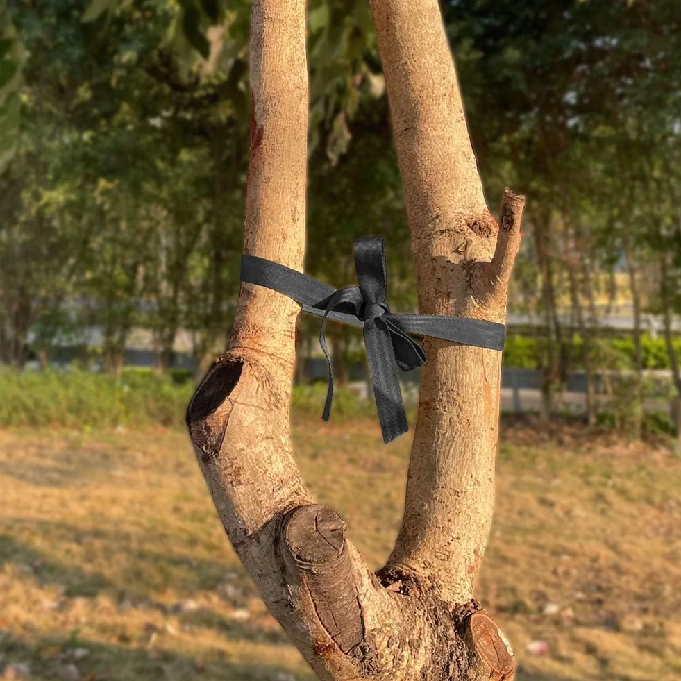 Taśma ogrodowa do wiązania drzew i krzewów, materiał do mocowania roślin 40mm/40m