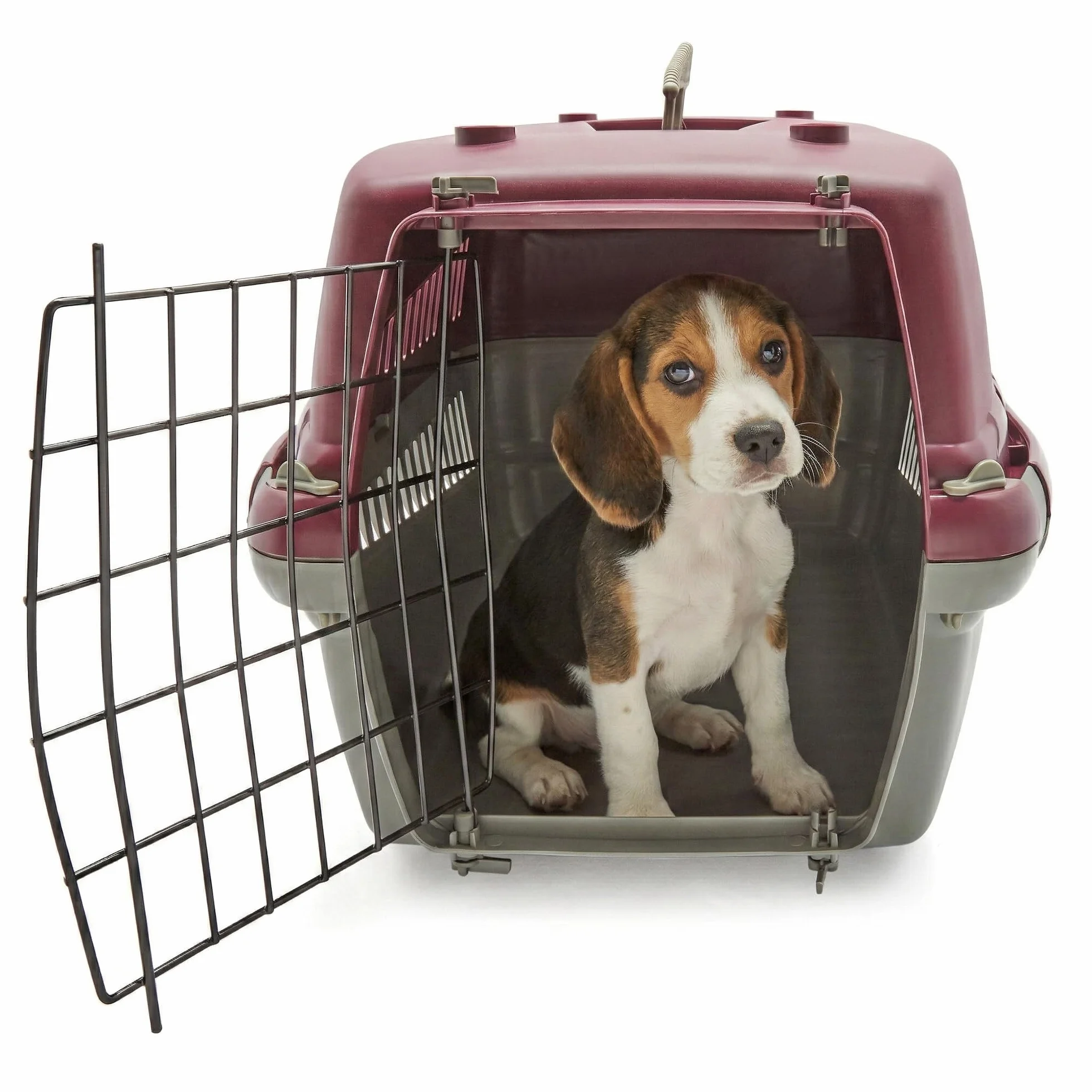 HAPPET Transporter Oggy S 49×33×30 cm Czerwony Plastikowy Dla Kota I Małego Psa Metalowa Kratka Wentylacja Uchwyt