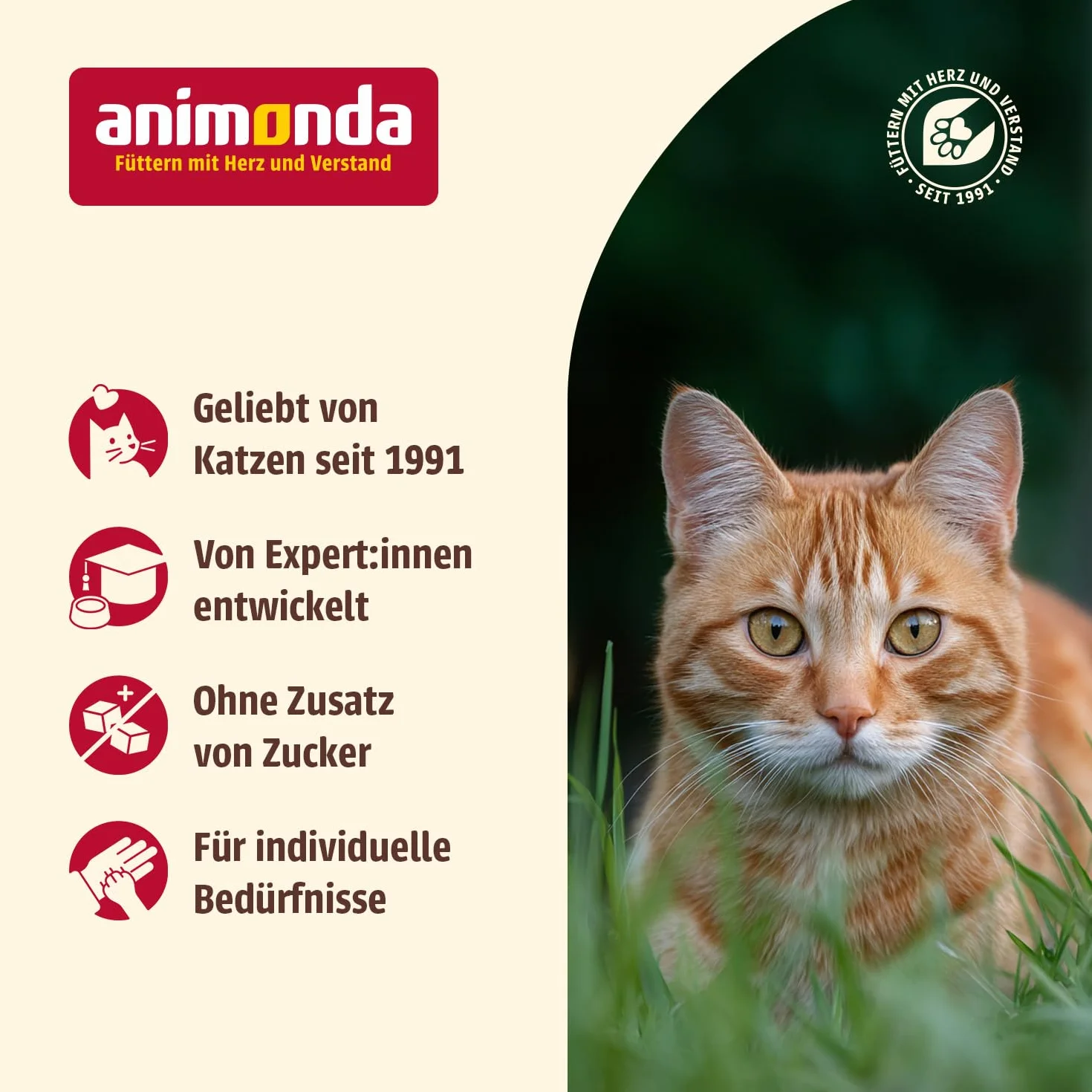 Animonda Carny Creamy Adult Karma dla Kotów, Łosoś/Tauryna, 6 x 15 g