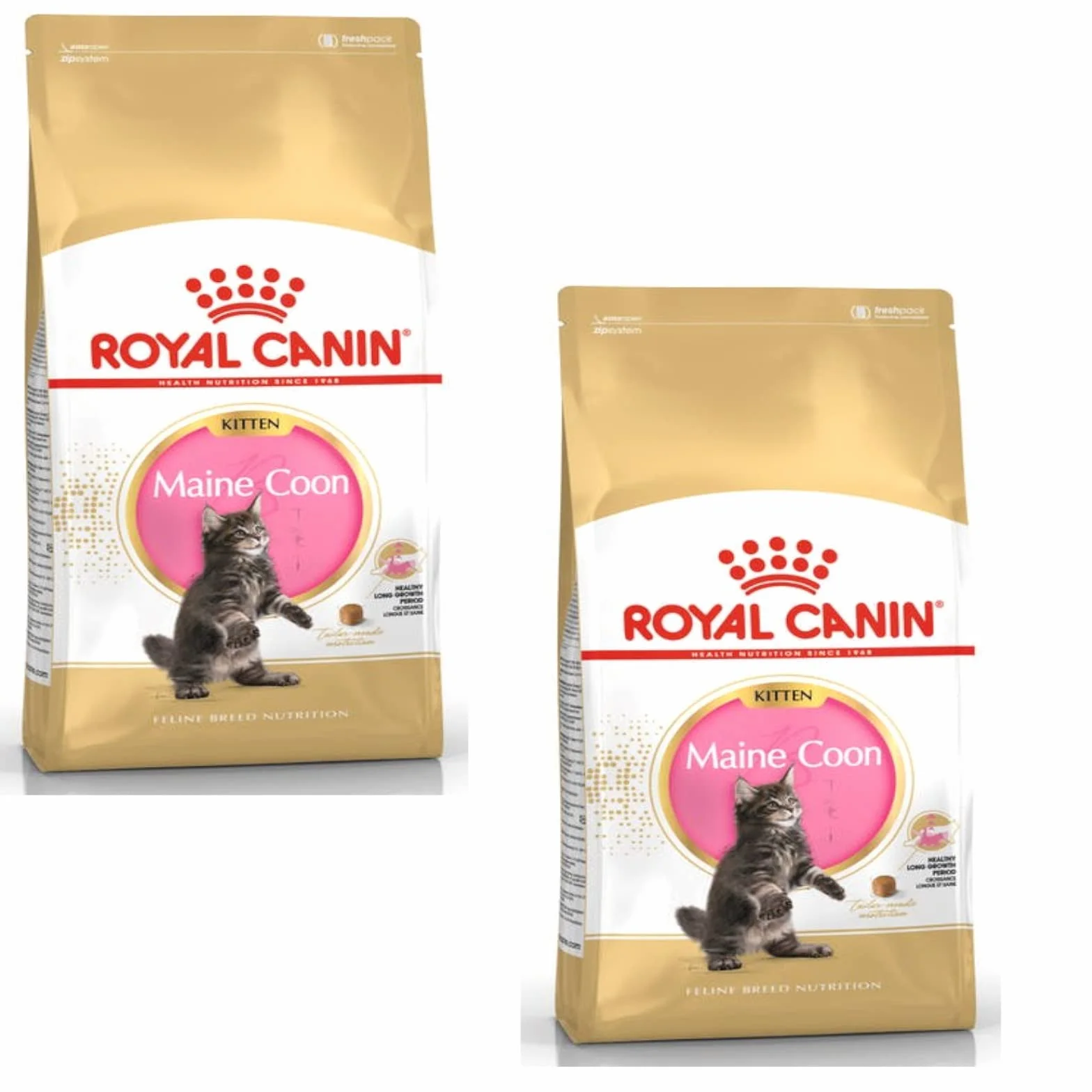 Royal Canin Maine Coon Kitten 2 x 400 g Karma dla kociąt